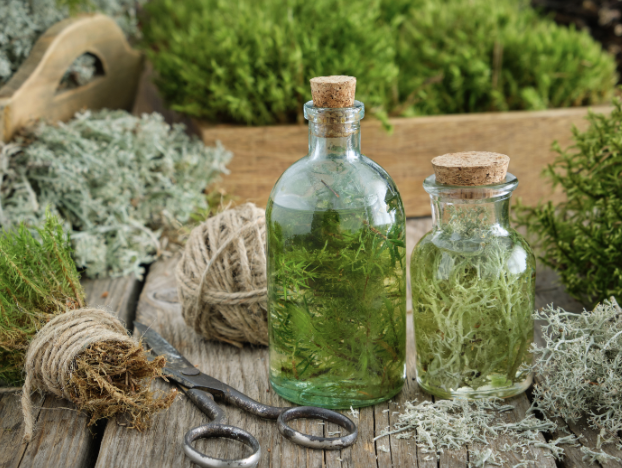 Make Your Own Herb Tinctures