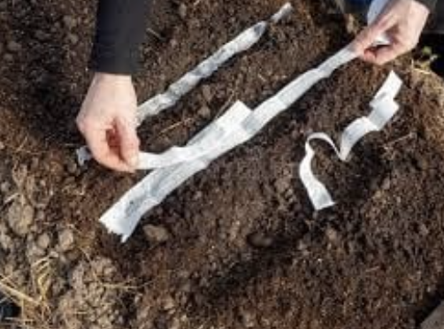 Hands-on Workshop: Seed Tape