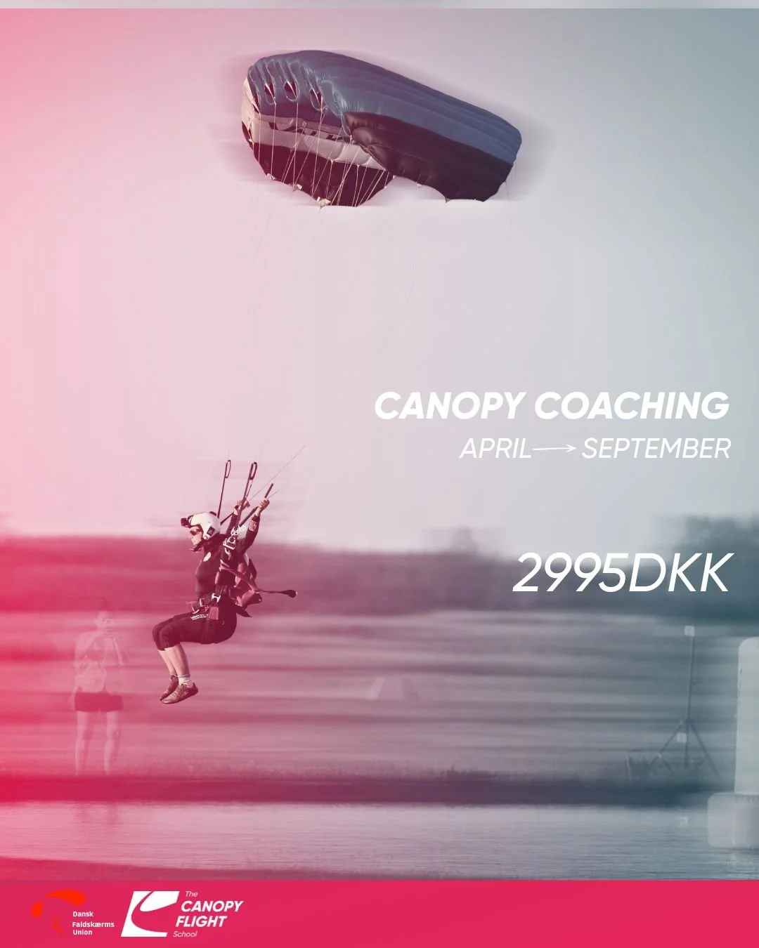 Mentor program 2026 DK.jpg