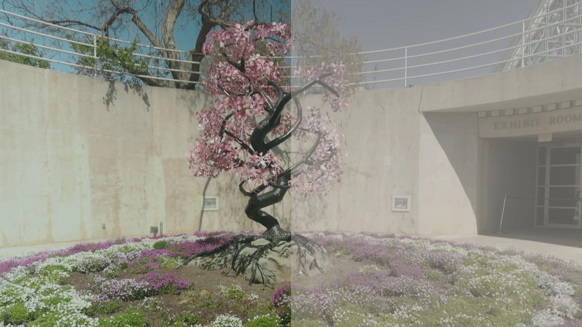 Apple Log 2 graded frame 2