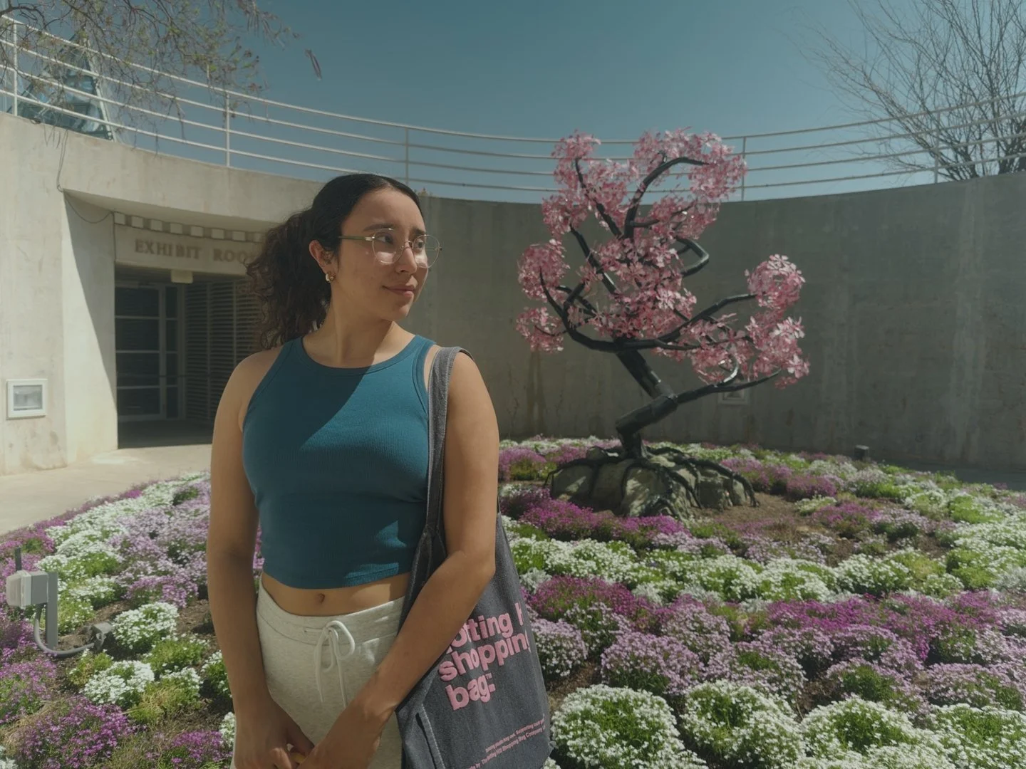 Before — Apple Log 2