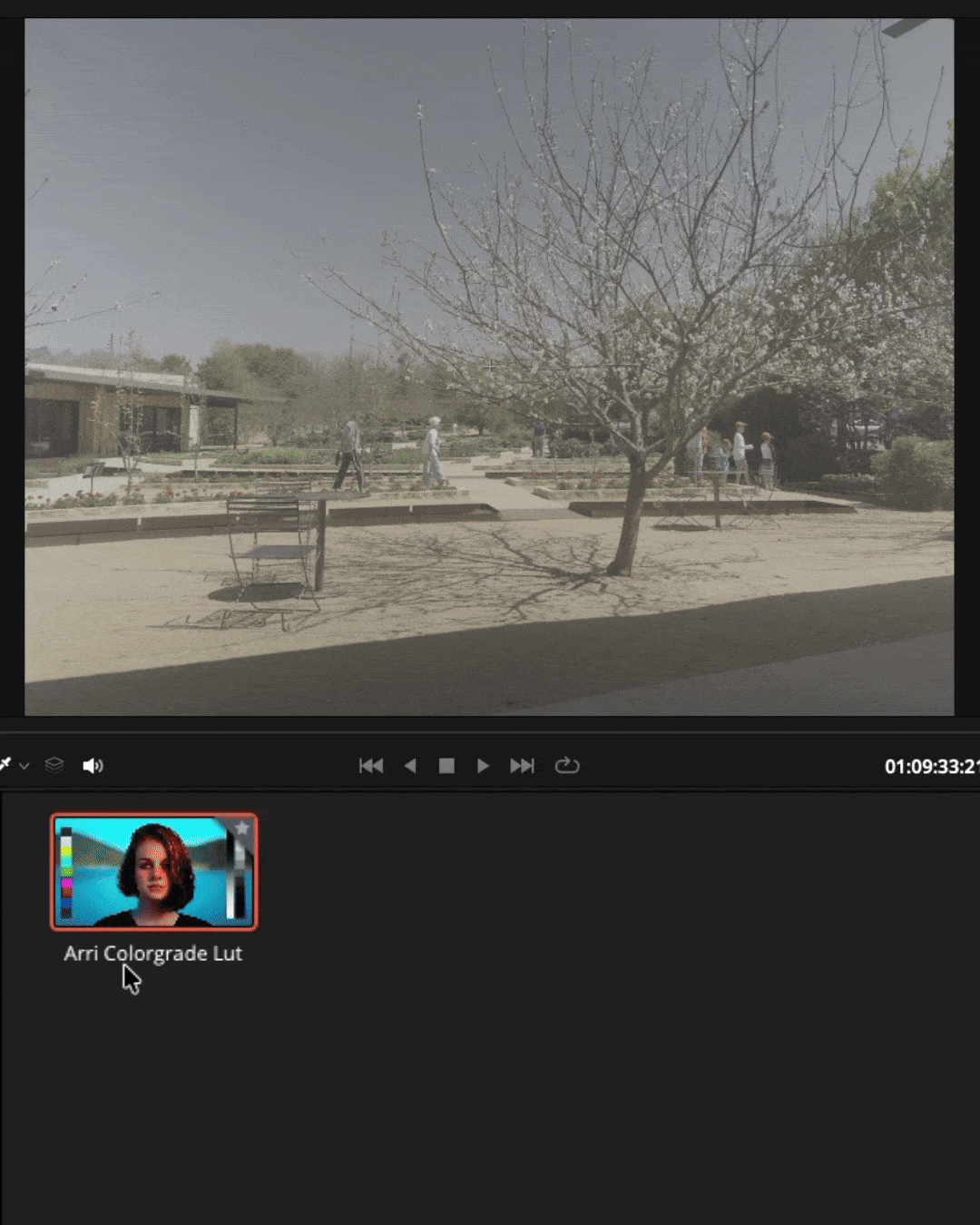 Apple Log to Arri in motion