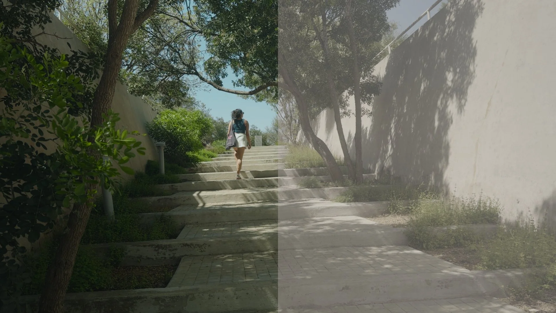 Apple Log 2 graded frame 3