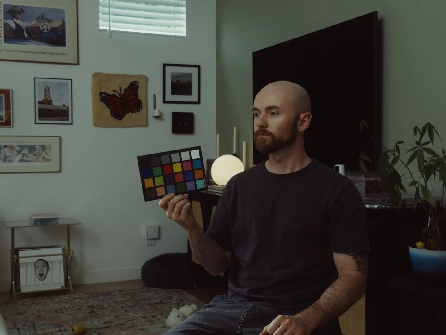Emulation Cinestill 800T