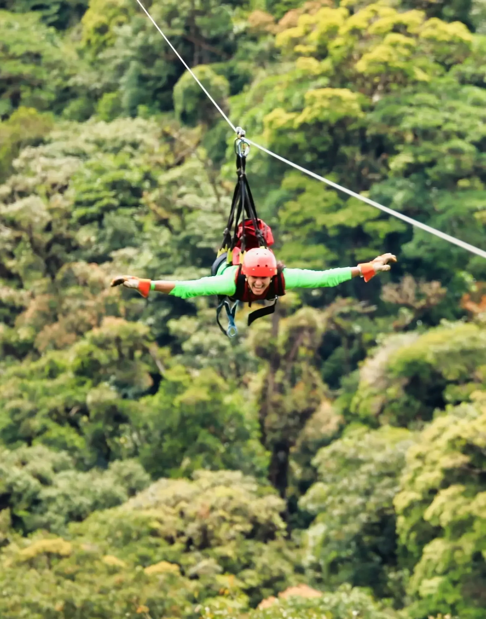 canopy_zipline_costa_rica_monteverde_3b5c8cb8ba.webp