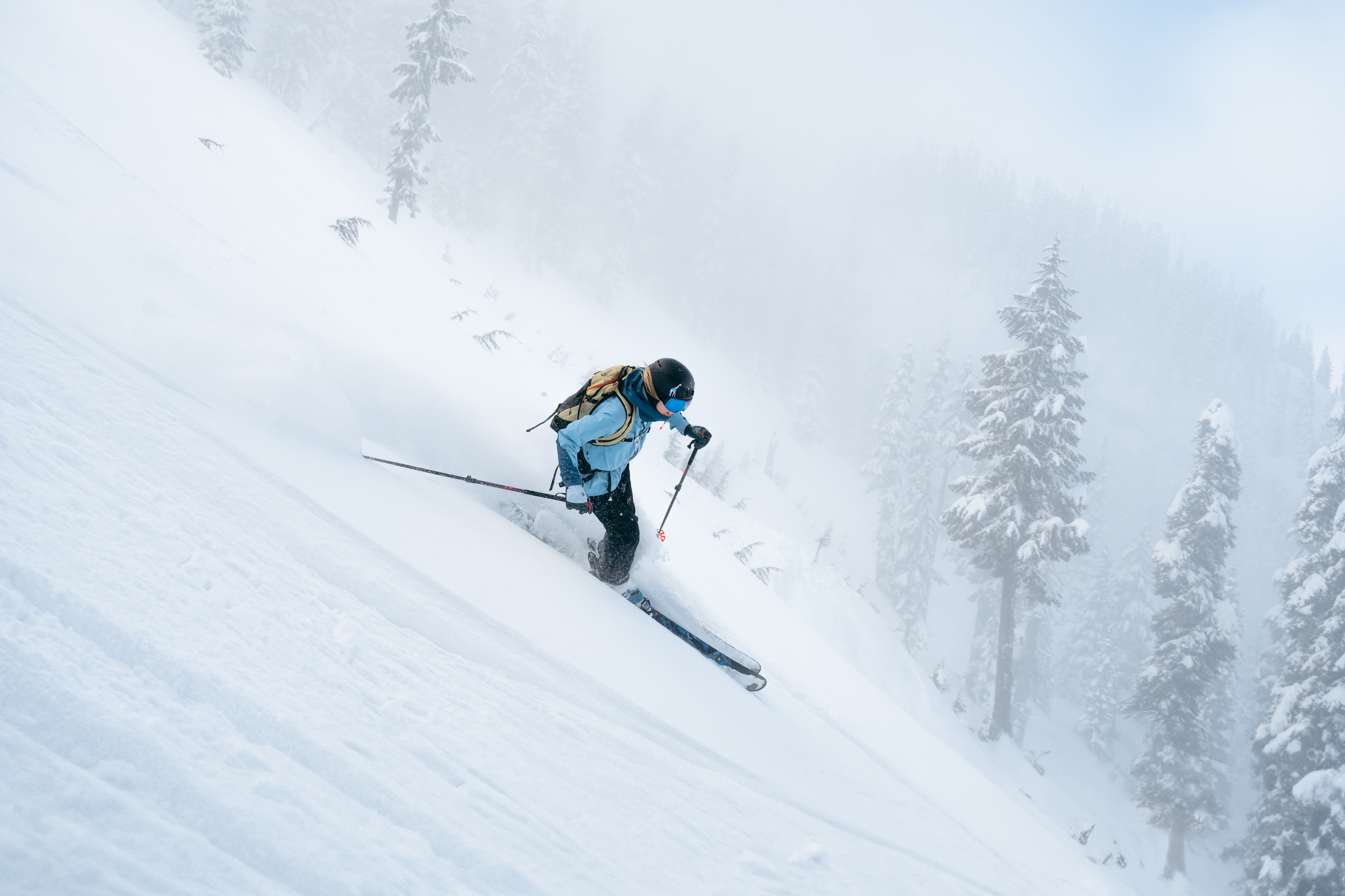 011024-Cadence-Alp-Pow.png