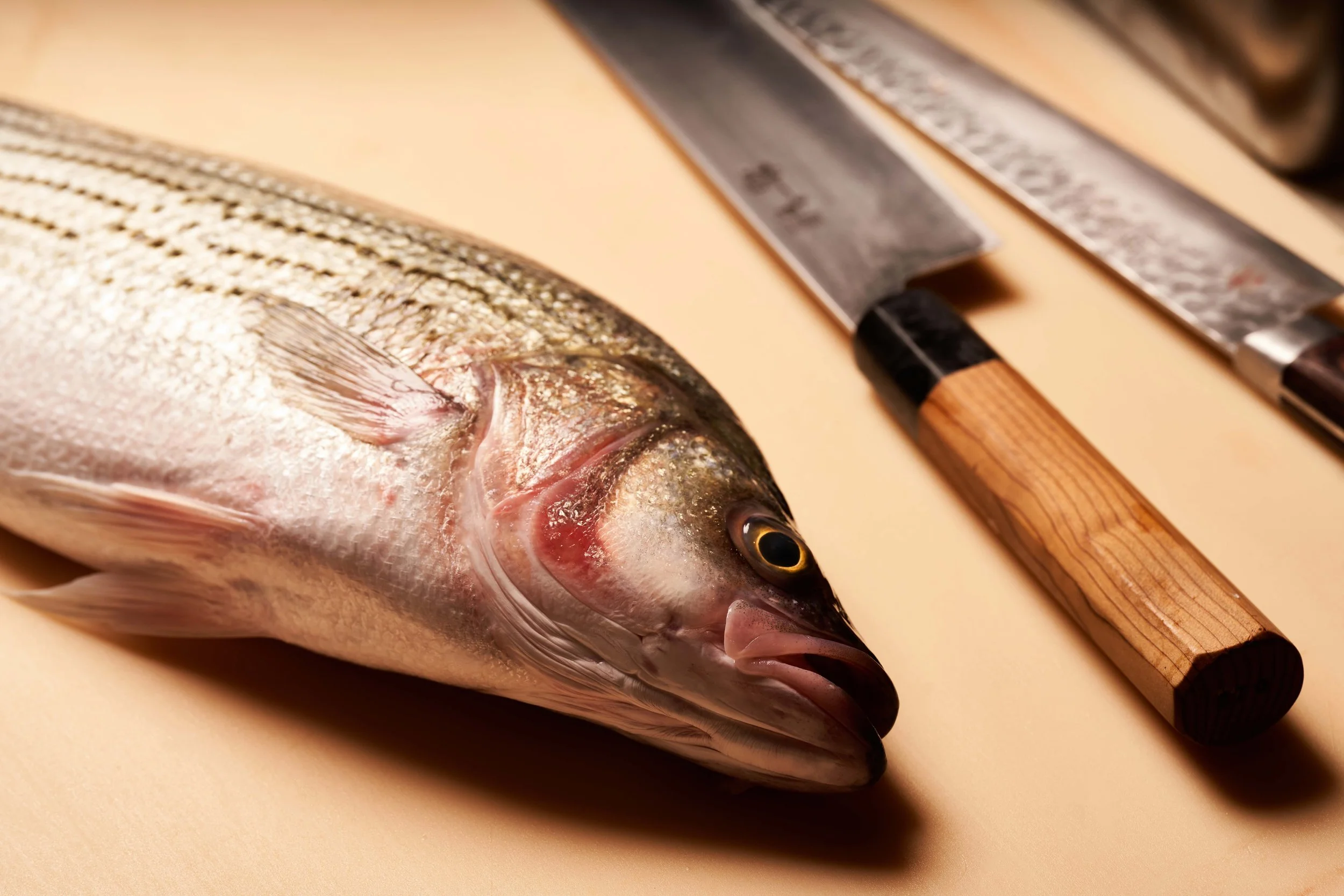 034_231104_WERK CREATIVE_PYRO_FINAL_72DPI.jpg