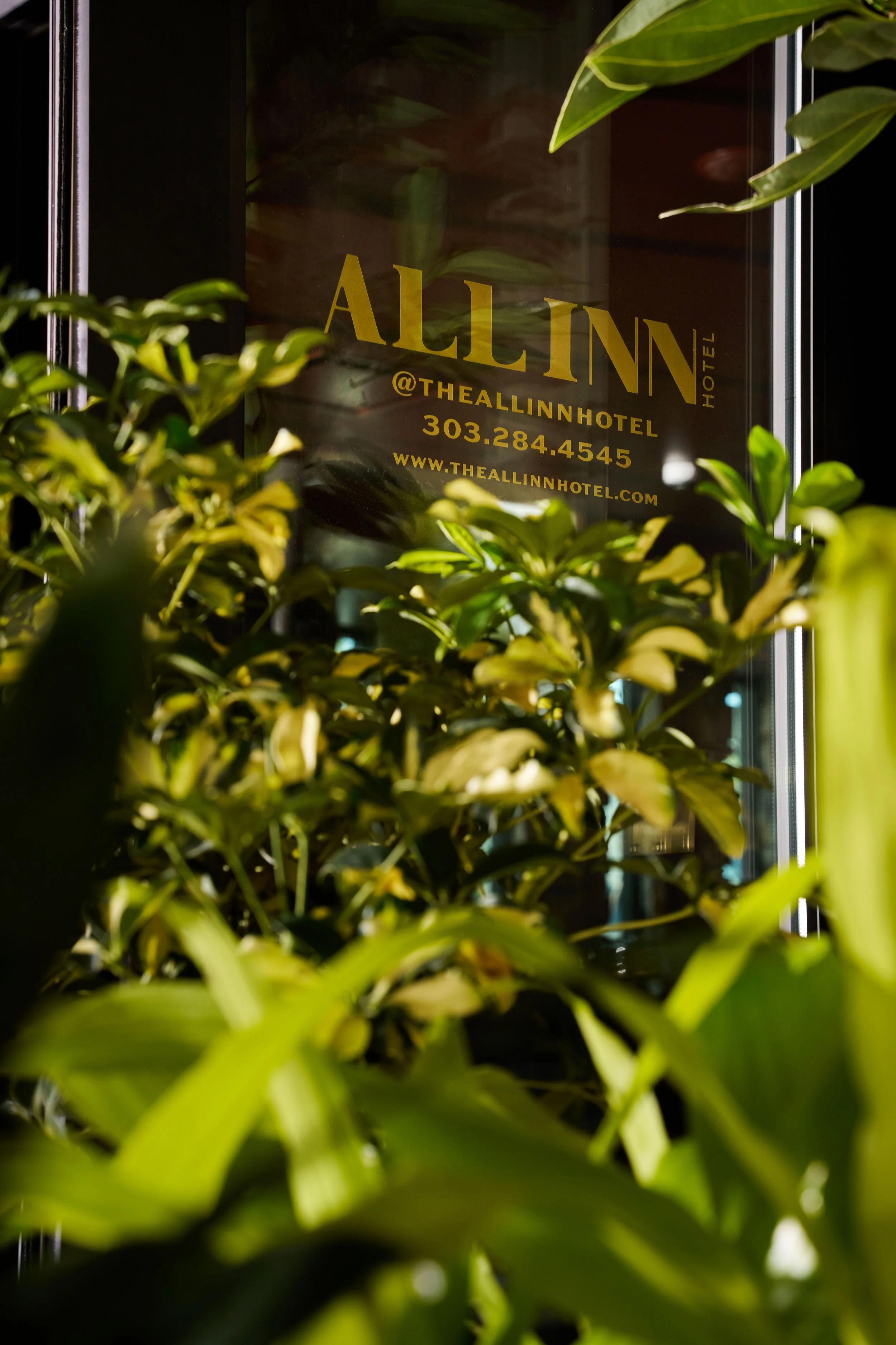 002_260608_WerkCreative_All Inn Hotel_Porte Cochère_72DPI.jpg
