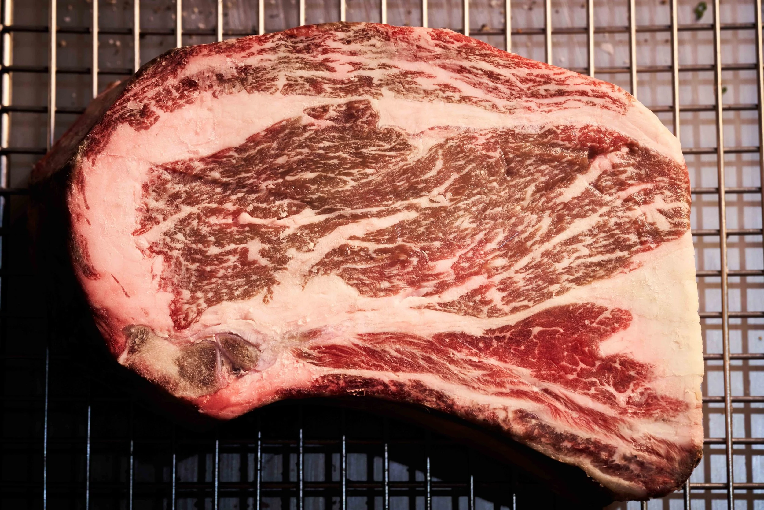 386_231105_WERK CREATIVE_PYRO_DAY 2_FINAL_72DPI.jpg