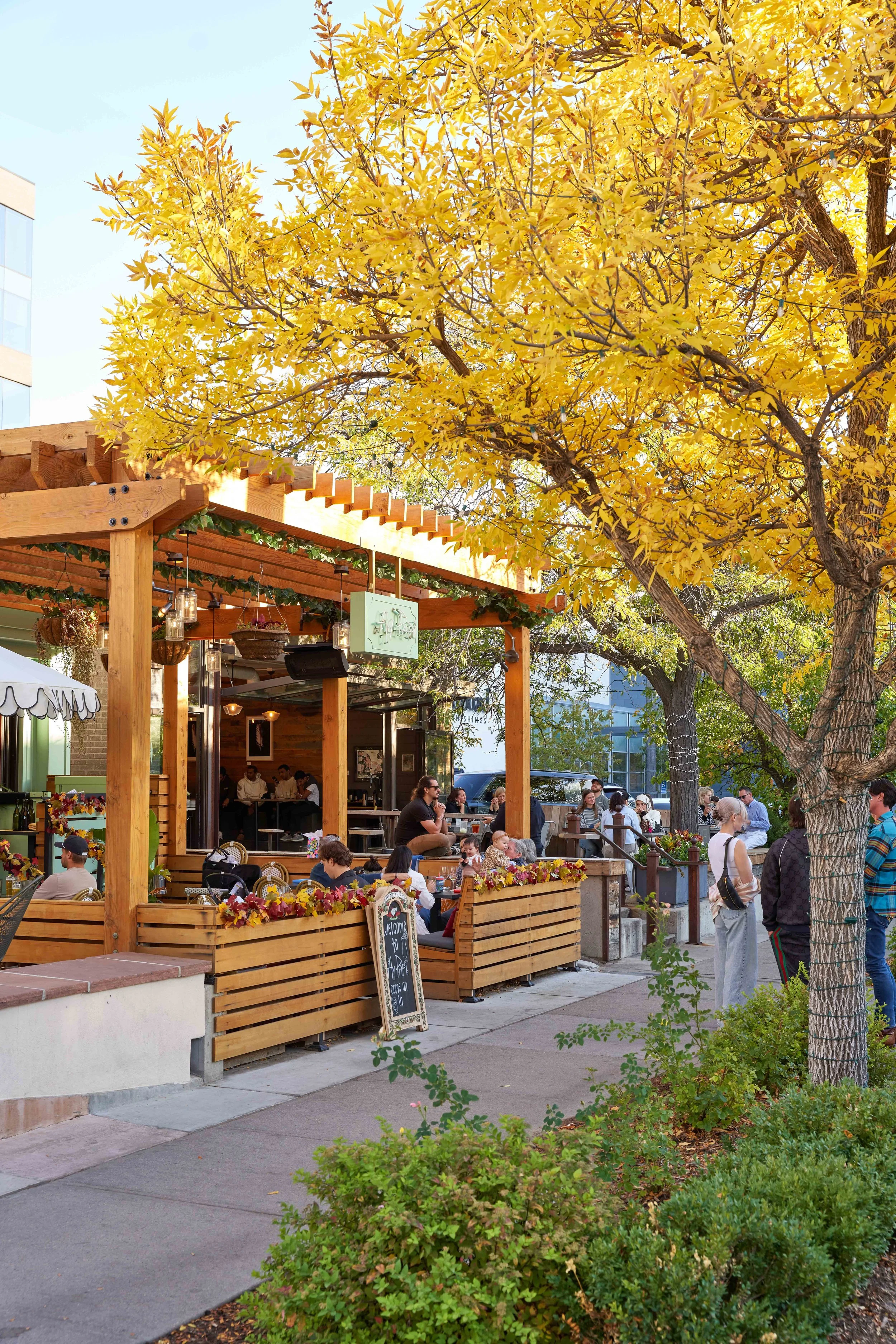 082_241111_CCN_Fall CCN_72DPI.jpg