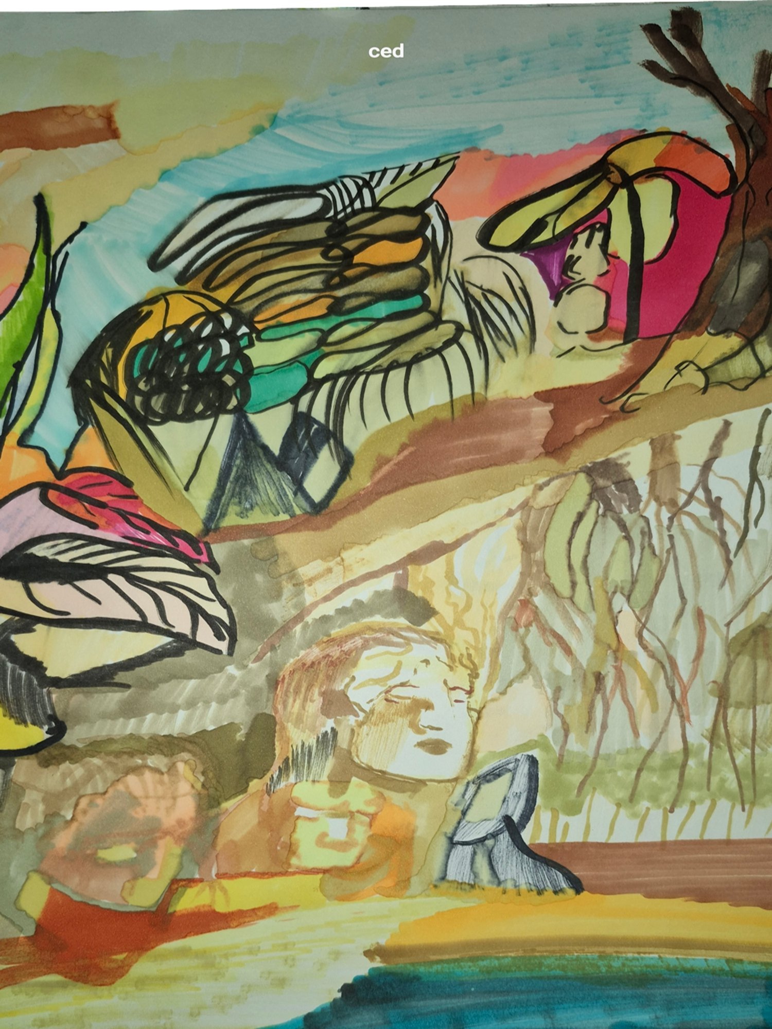 finding the images