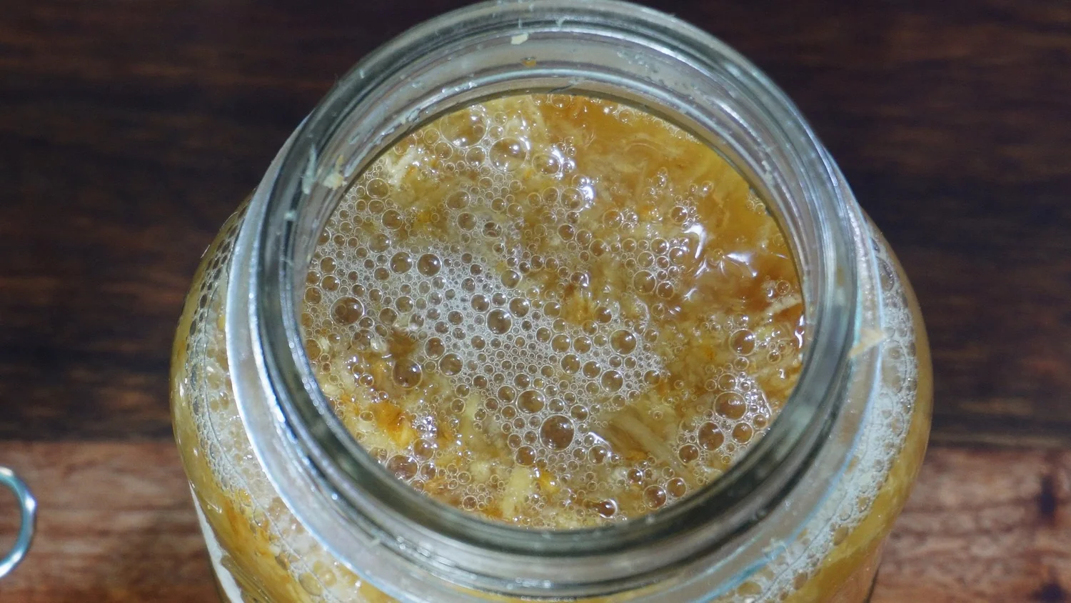 From Scratch: Ginger Bug, Ginger Beer, and Natural Fruit Soda — Feed ...