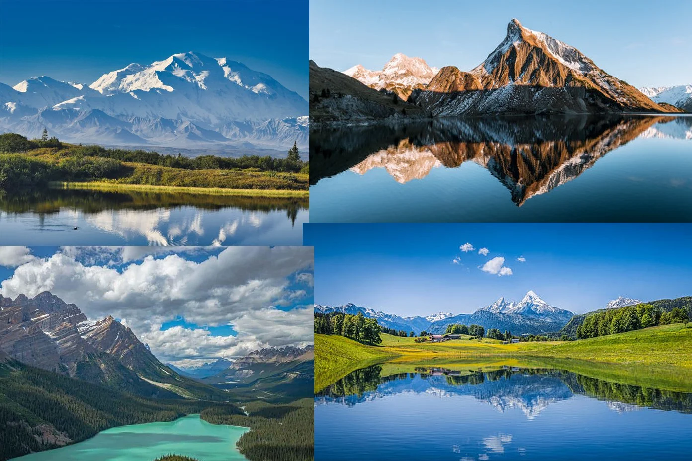 Reference images