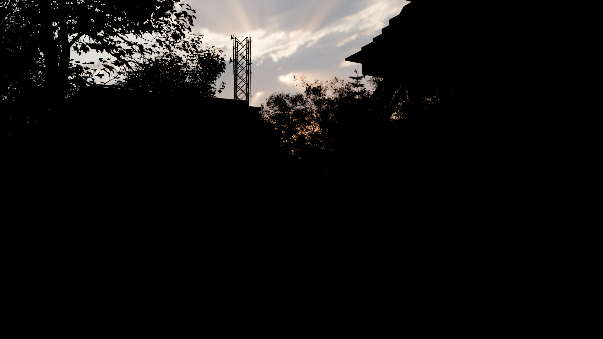 Environment