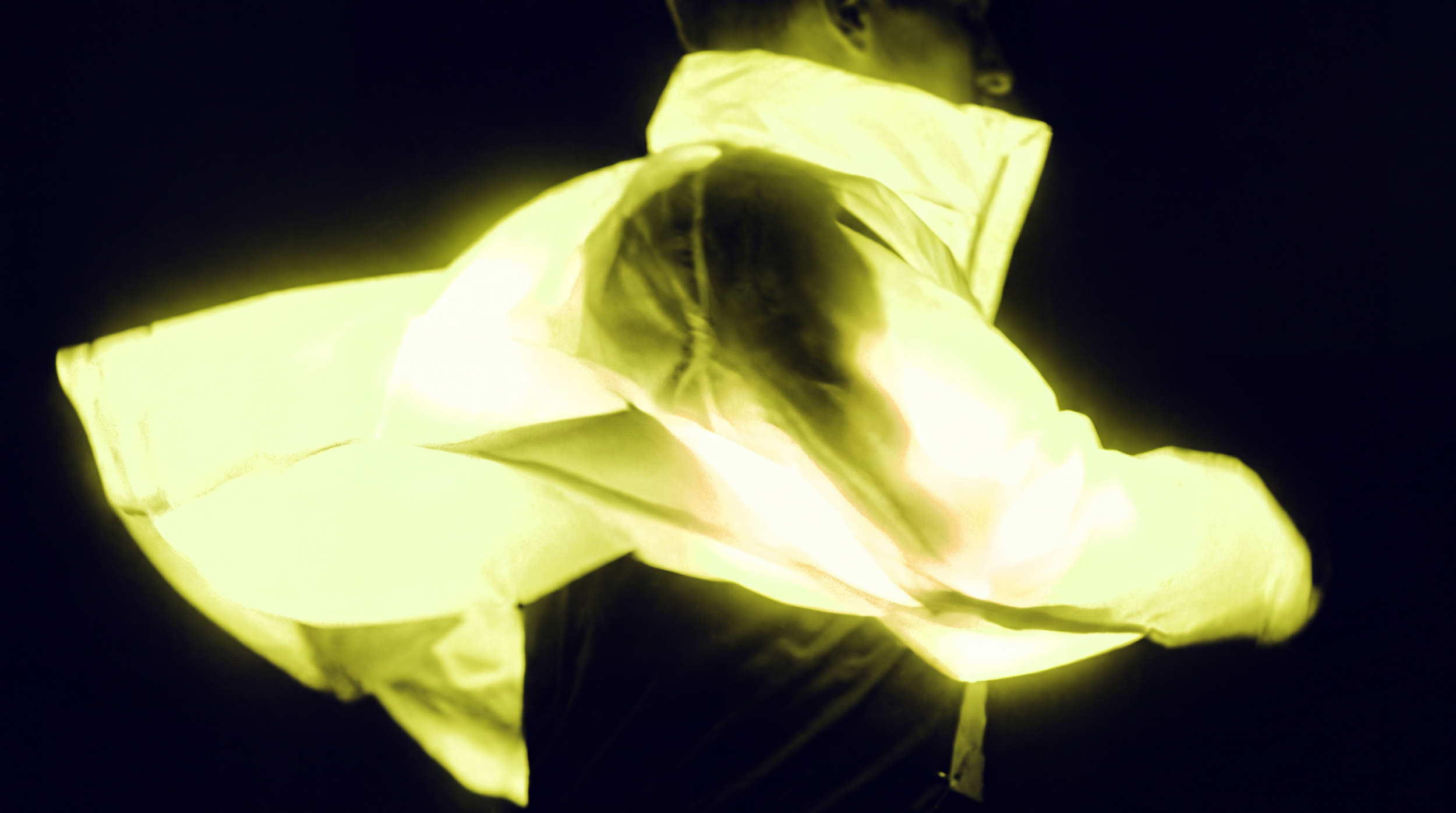 Close-up of a glowing yellow flower with dark background.