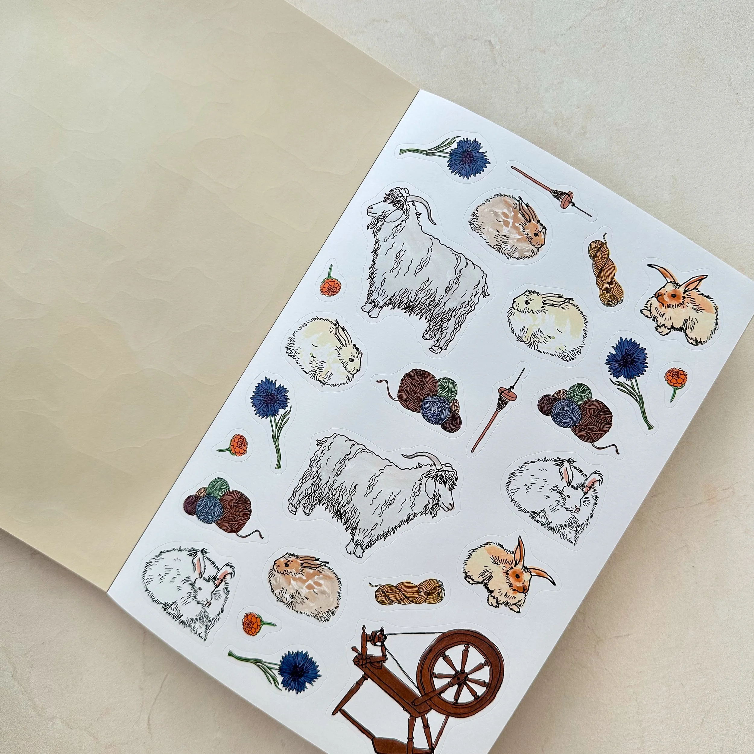 Farm Anatomy Sticker Book 4 - schoolnest.JPG