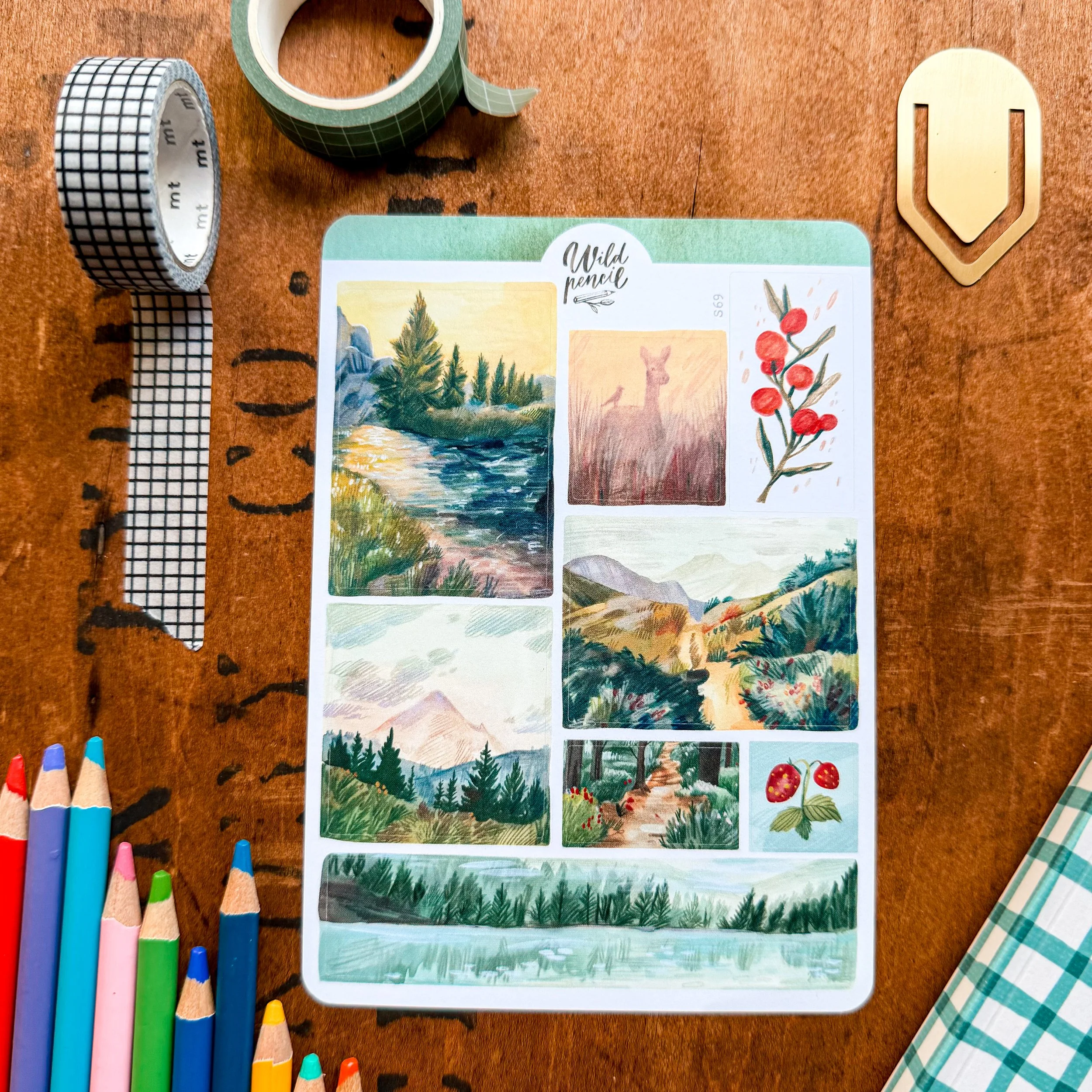 Forest Landscapes by Wild Pencil.JPG