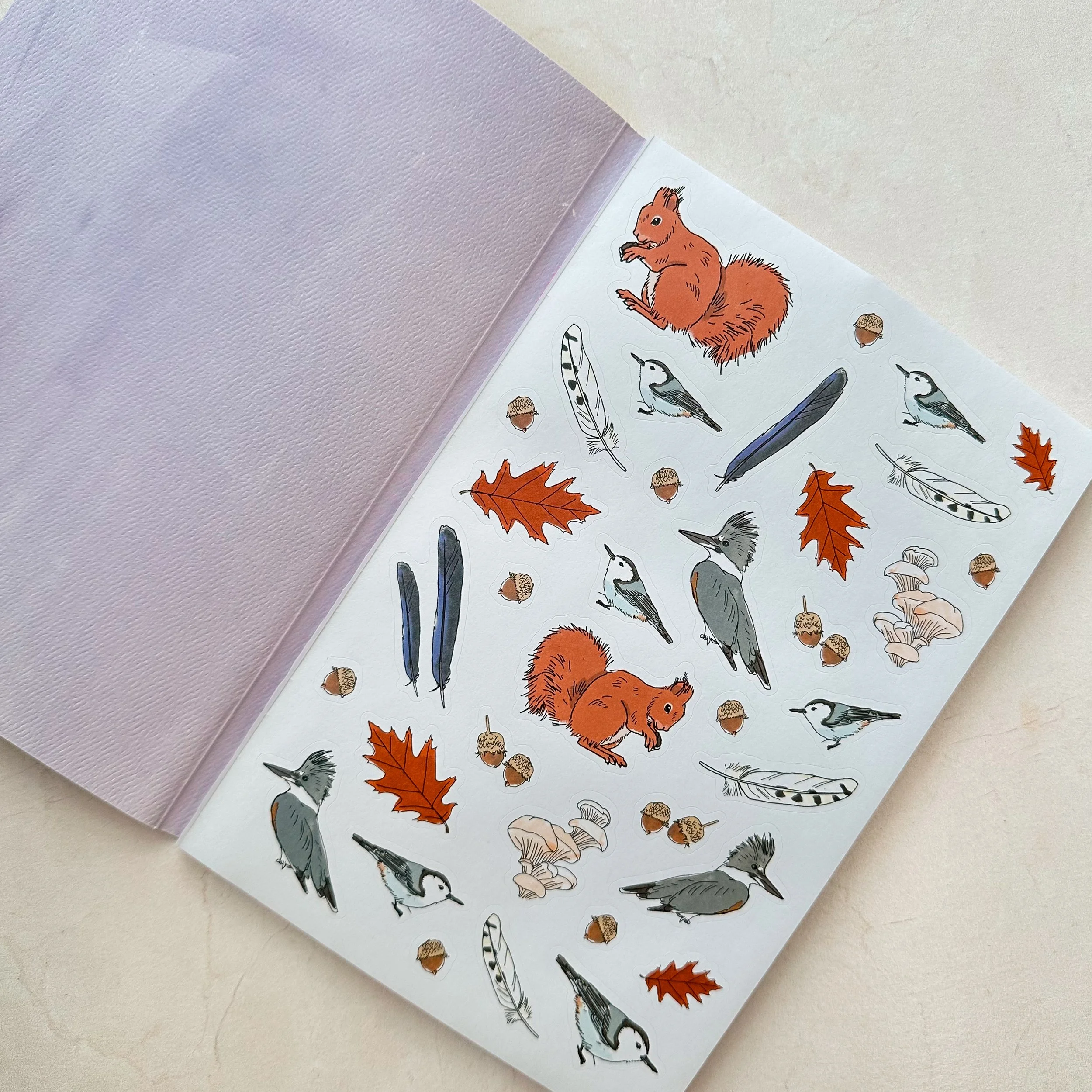 Nature Anatomy Sticker Book 2 - schoolnest.JPG