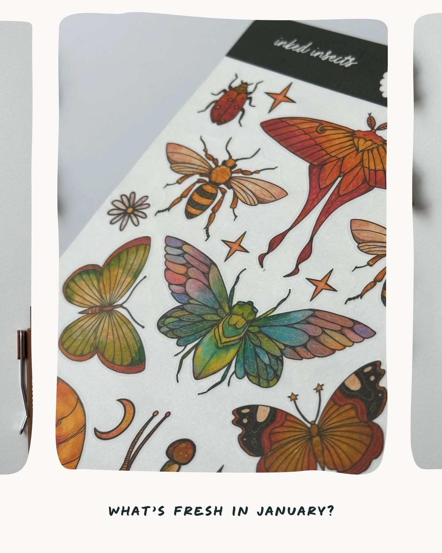 Here&rsquo;s a recap of the new things that went into the shop for January. The Nature Notebook got a relaunch in the layflat binding, we experimented with sticker sheets and are trying out this matte transparent paper, and the weekly checklist notep