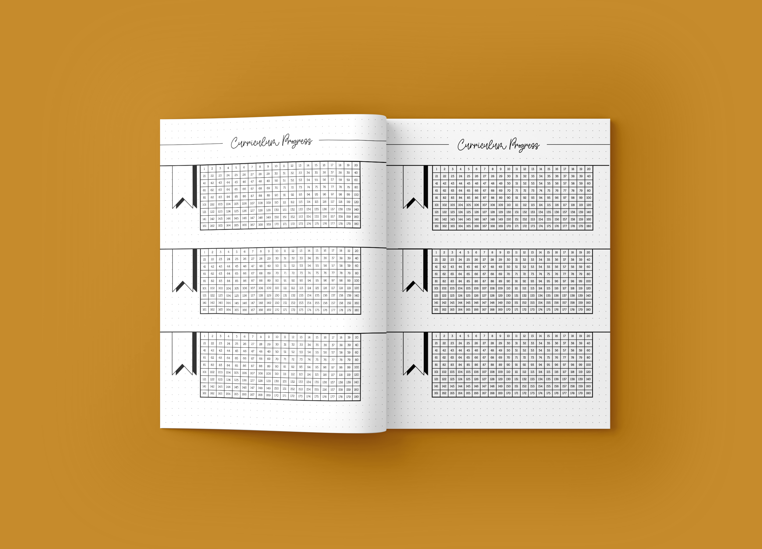 HOMESCHOOL LESSON PLANNING NOTEBOOK 2021 Gold Bouquet Mockup 6.png