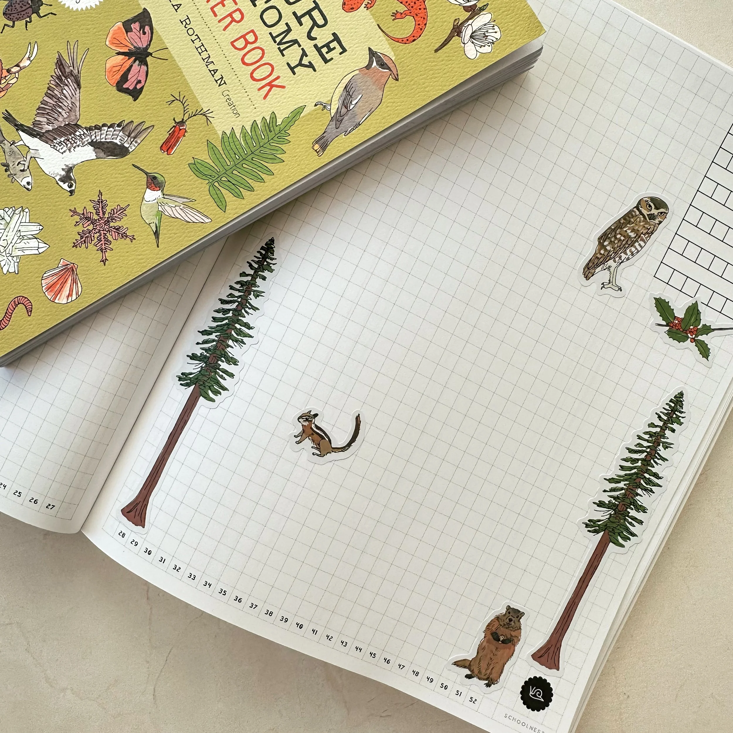 Nature Anatomy Sticker Book example - schoolnest.JPG