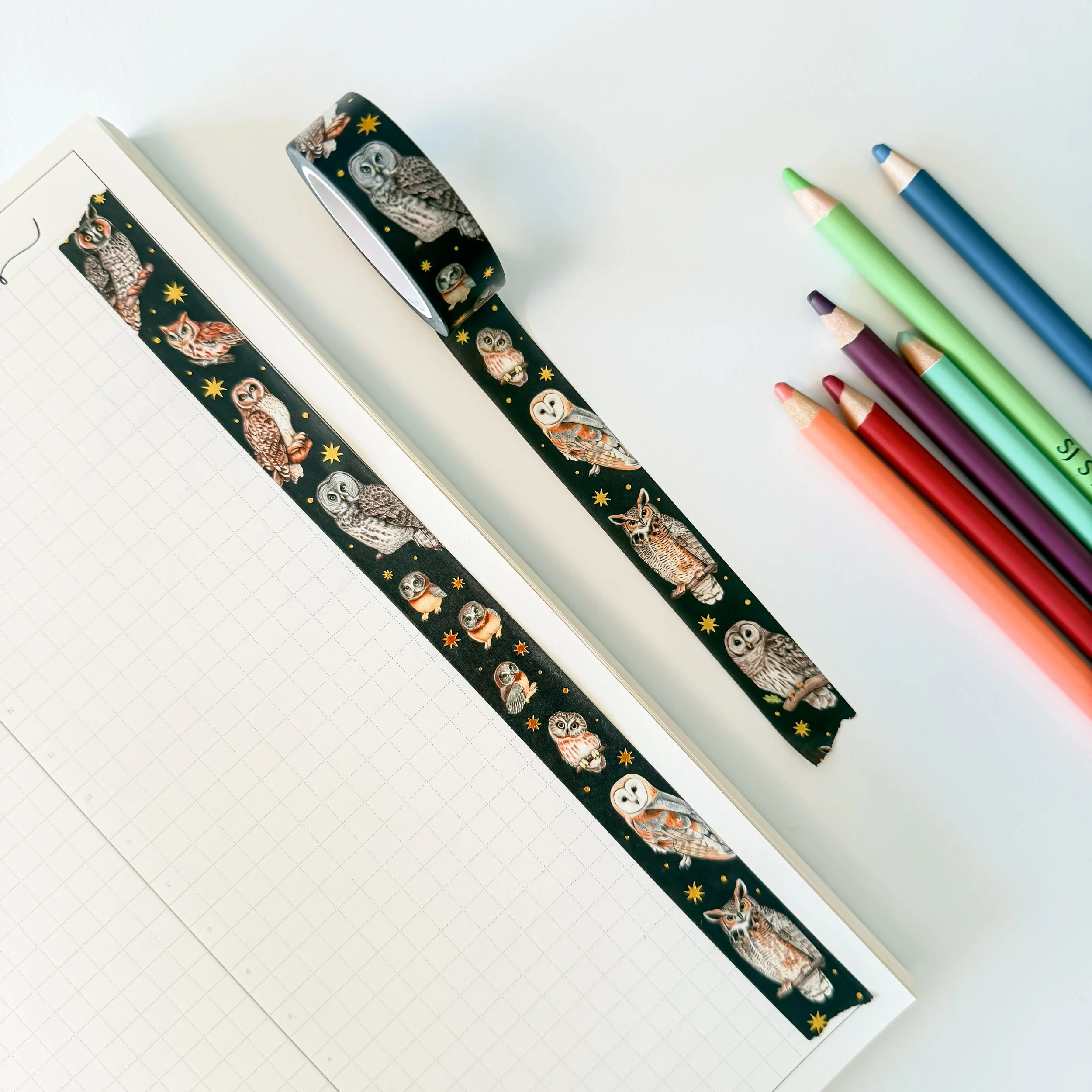 North American Owls Washi Tape by Allison Stoiser