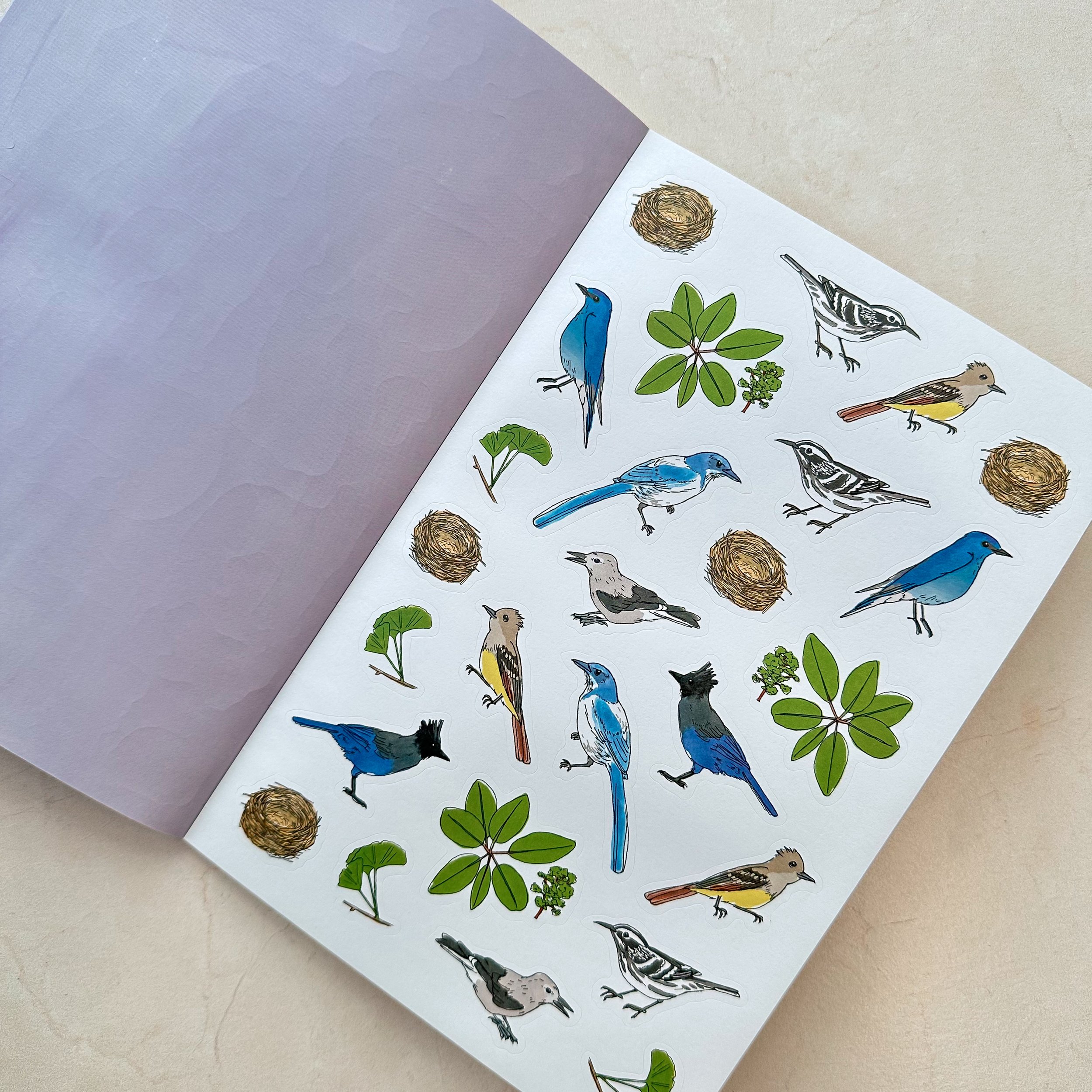 Nature Anatomy Sticker Book 4 - schoolnest.JPG