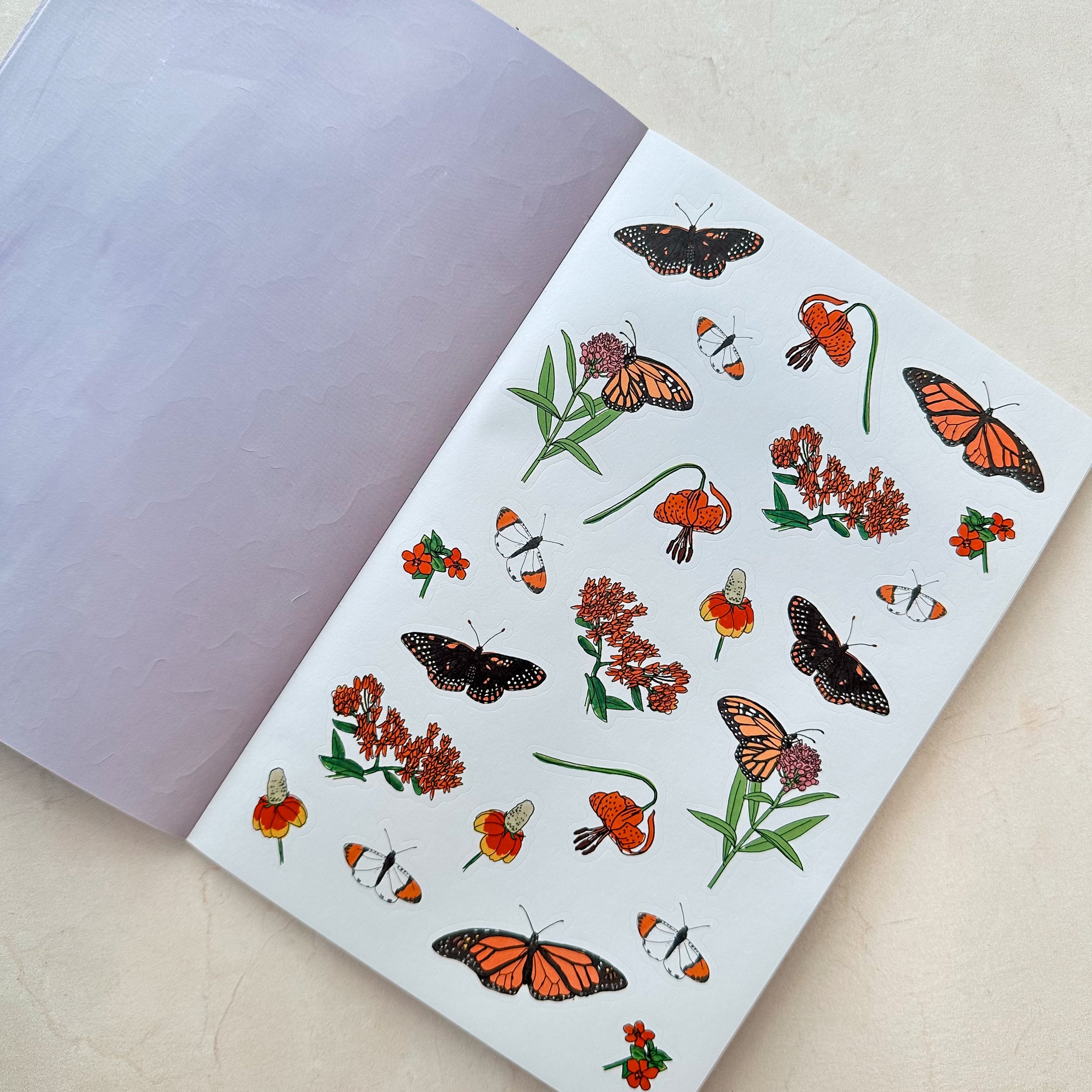 Nature Anatomy Sticker Book 5 - schoolnest.JPG