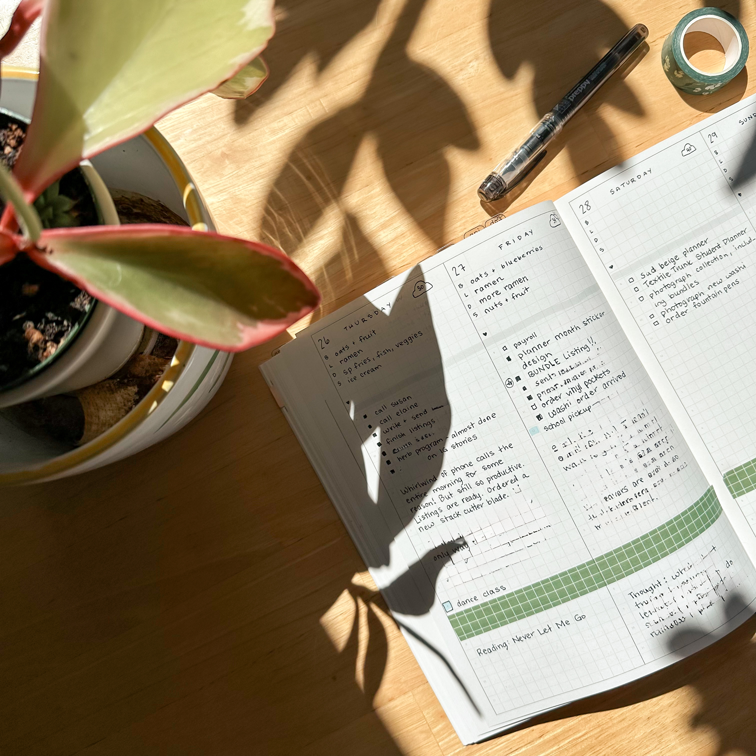 Plan and Journal Planner Interior Example 1 - schoolnest.png