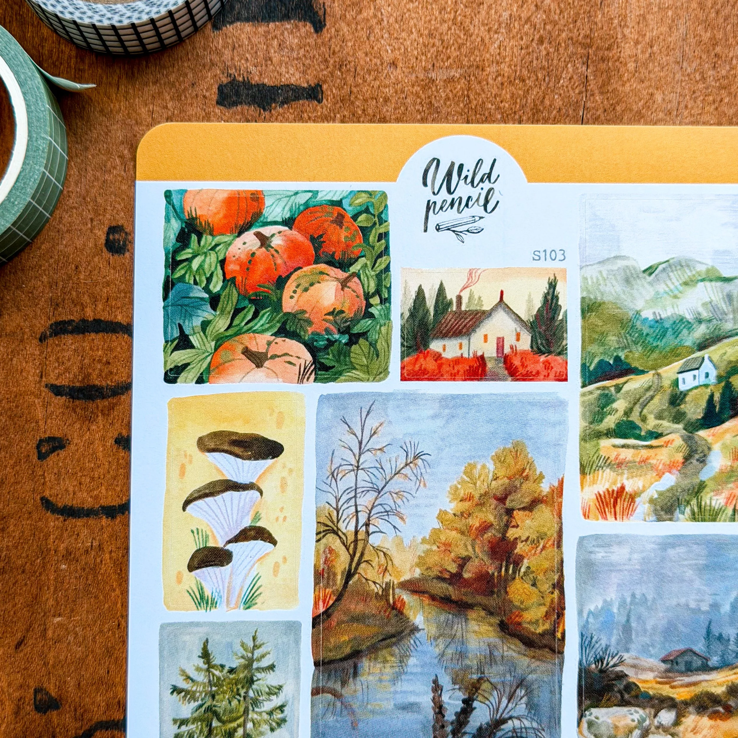 Fall Landscapes by Wild Pencil 2.JPG