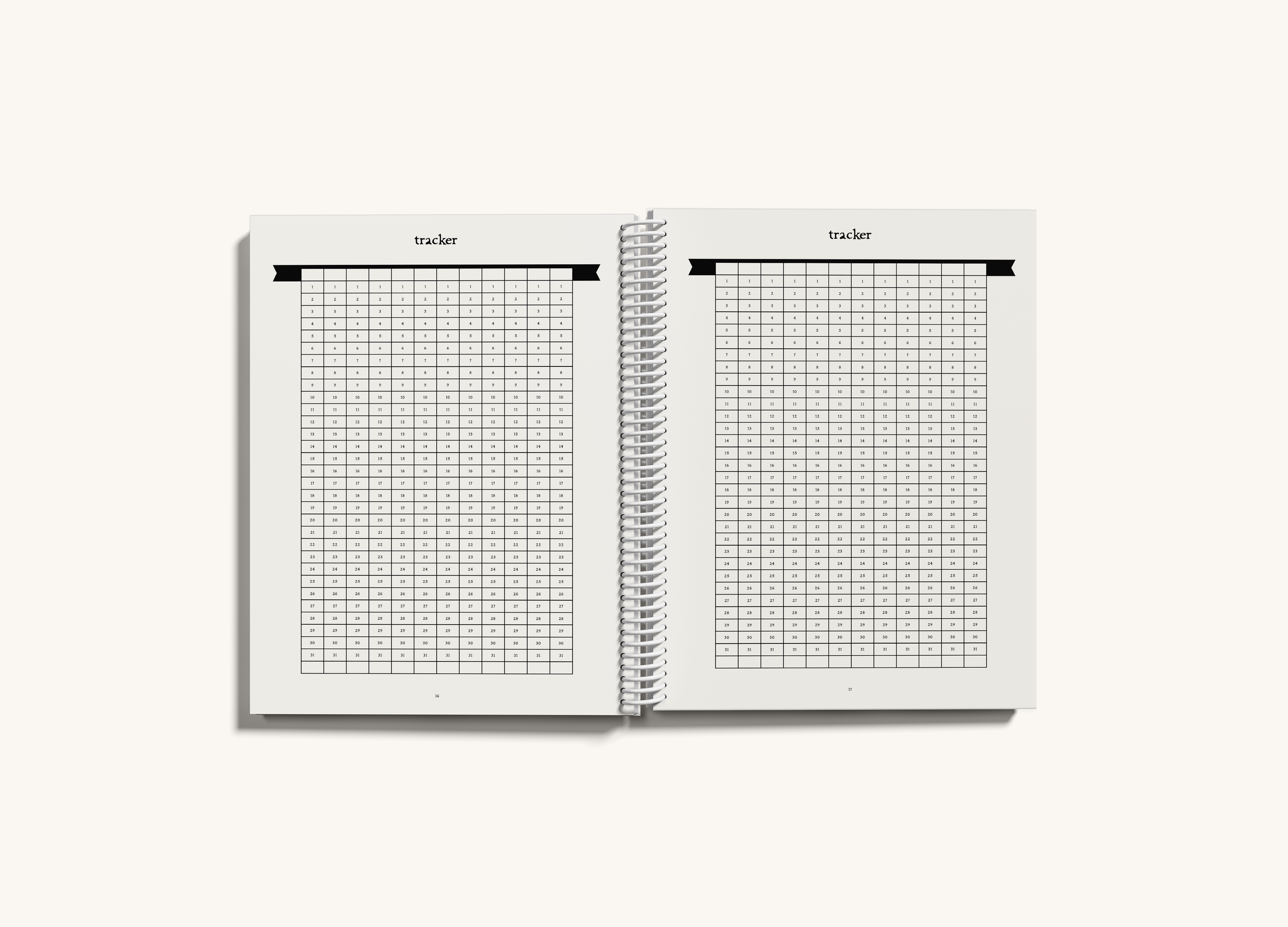 3 6X7 spiral interior.png