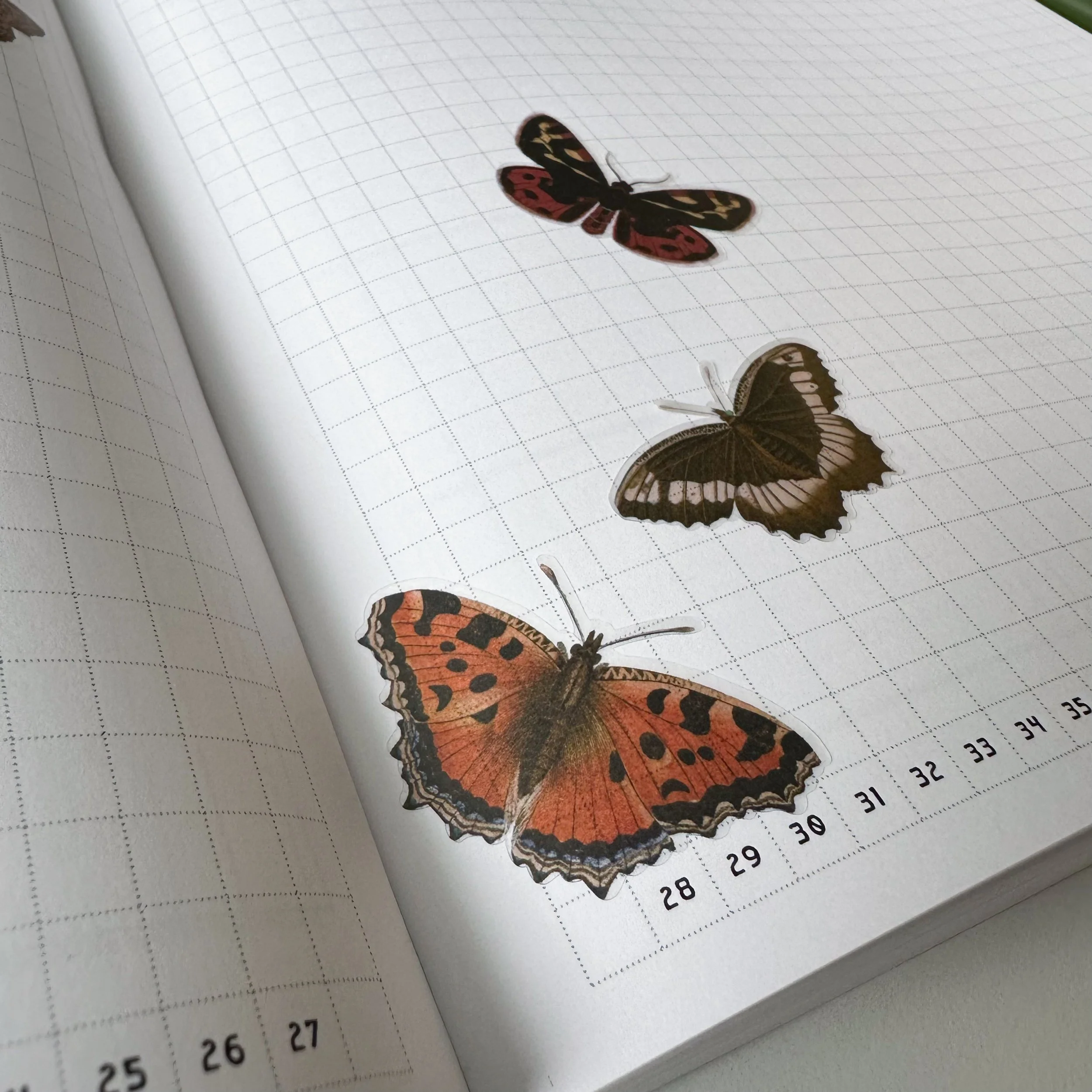 vintage butterfly stickers 4 | schoolnest.JPG