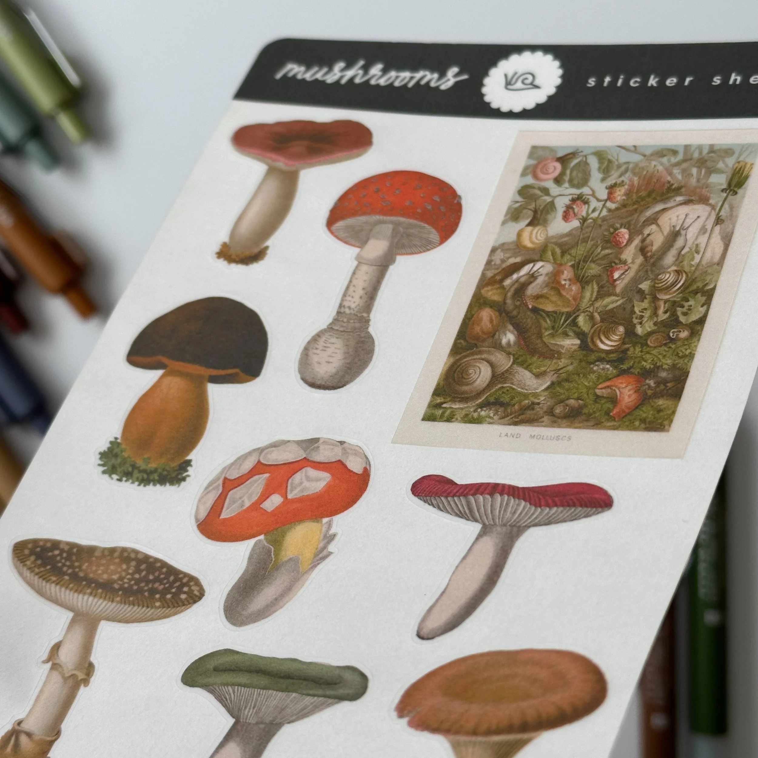 vintage mushroom stickers 2 | schoolnest.JPG