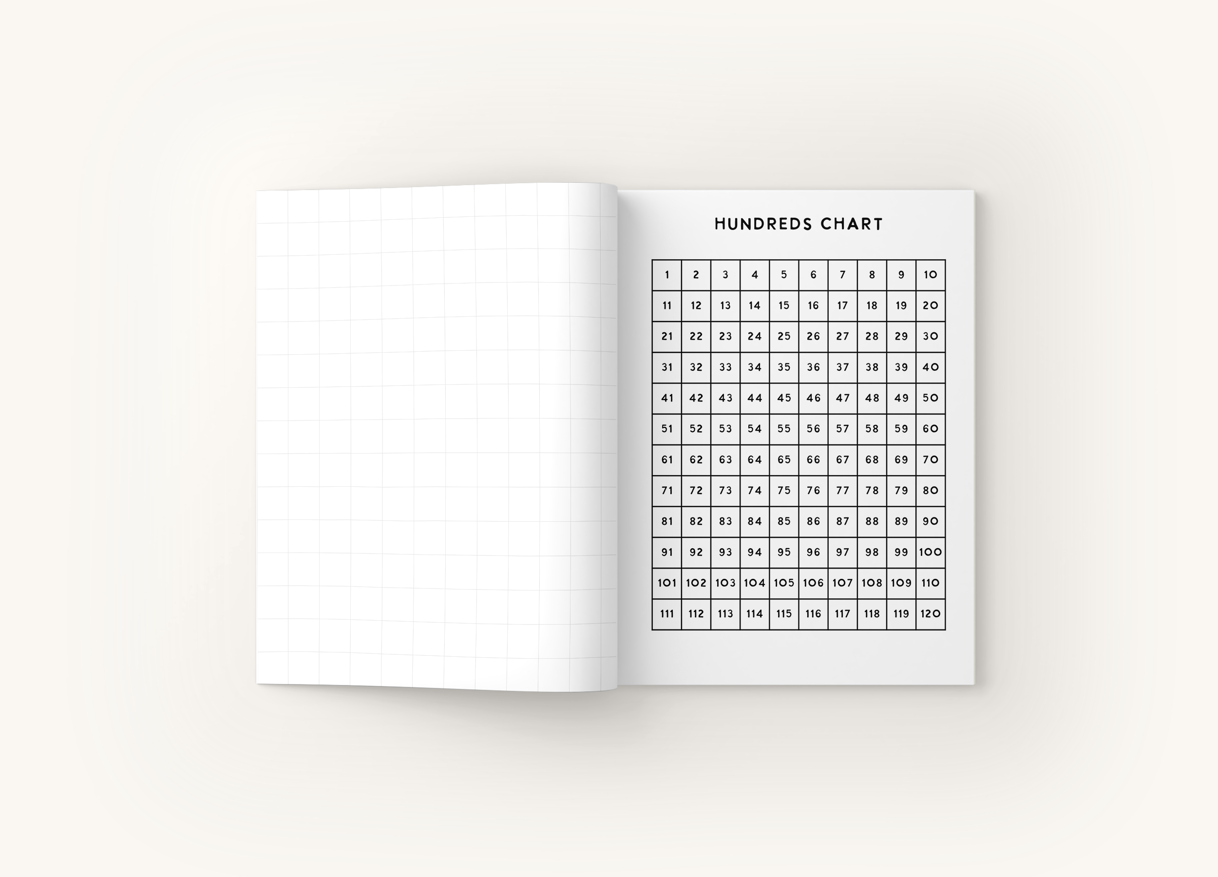 PRIMARY Mathematics Notebook Cover Mockup 4.png