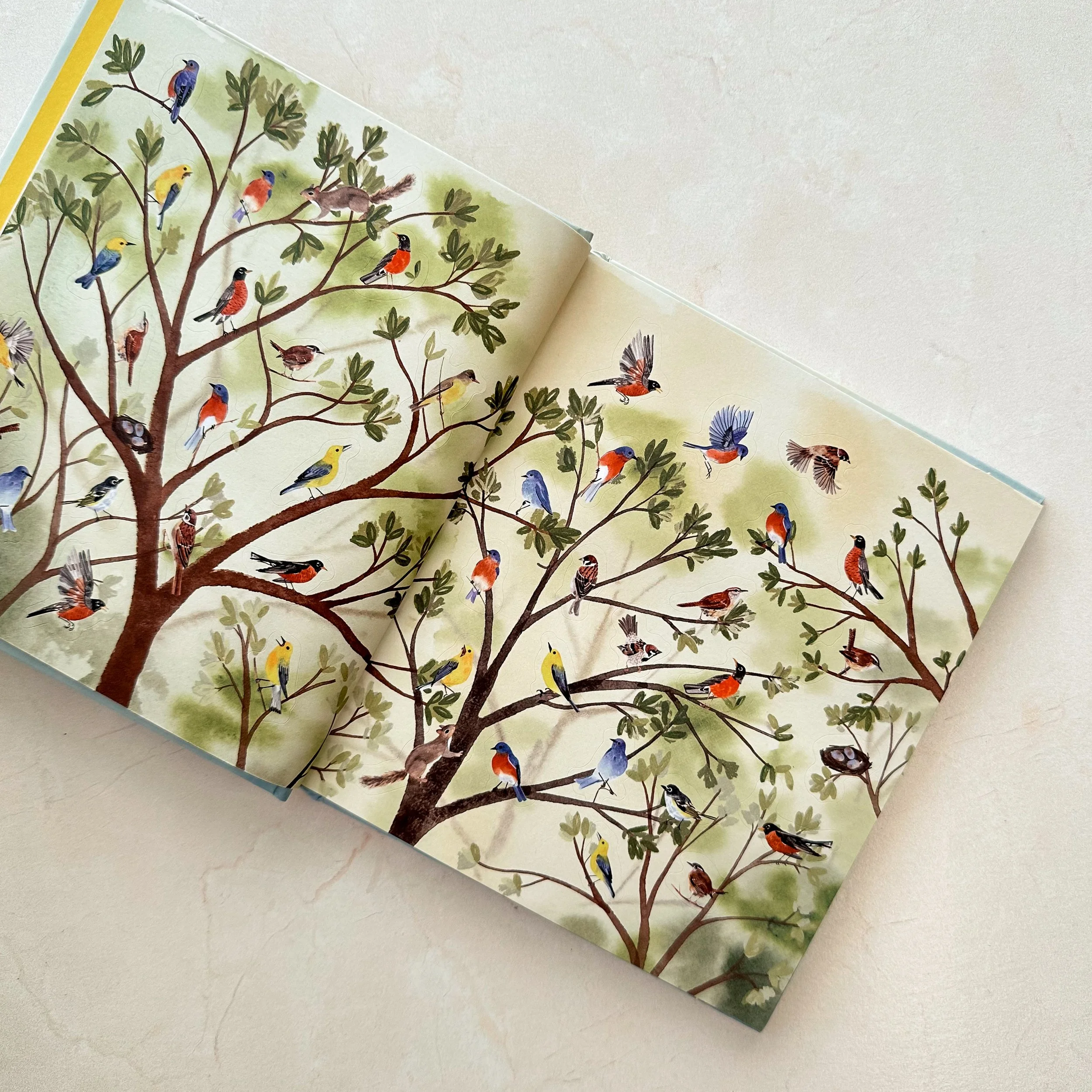 Bird Lovers Sticker Book 2 - schoolnest.JPG