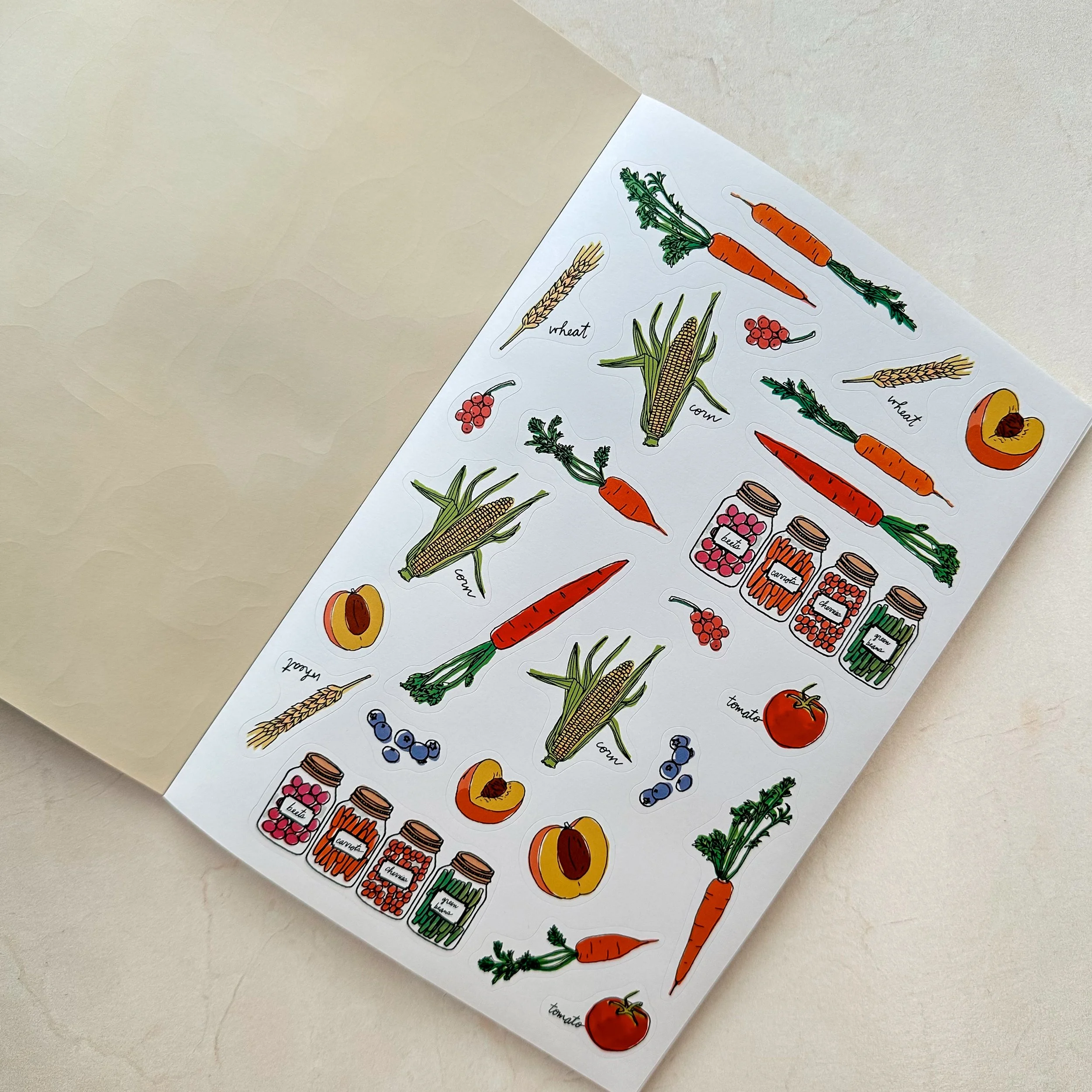 Farm Anatomy Sticker Book 6 - schoolnest.JPG