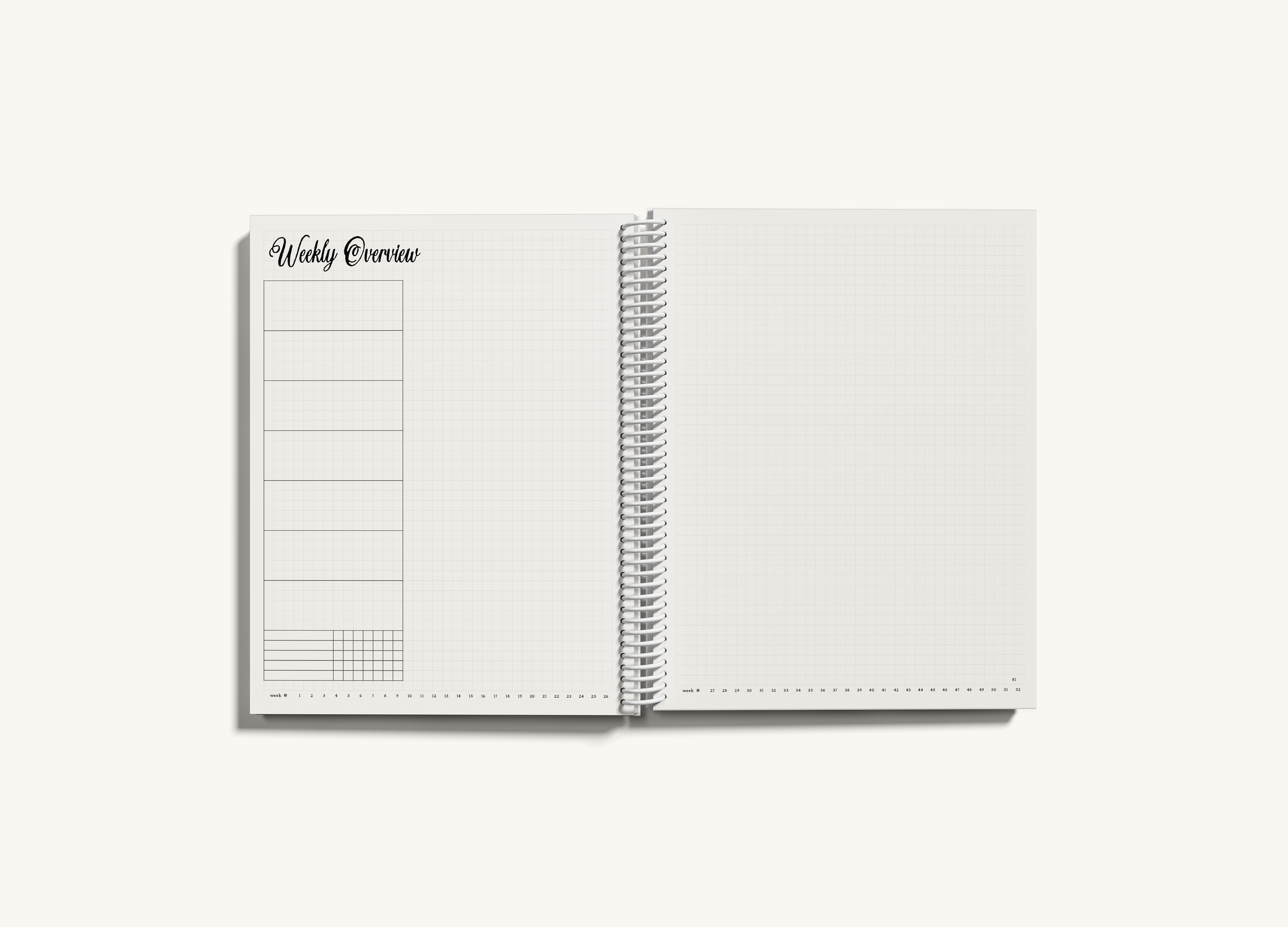 10 6X7 spiral interior.png