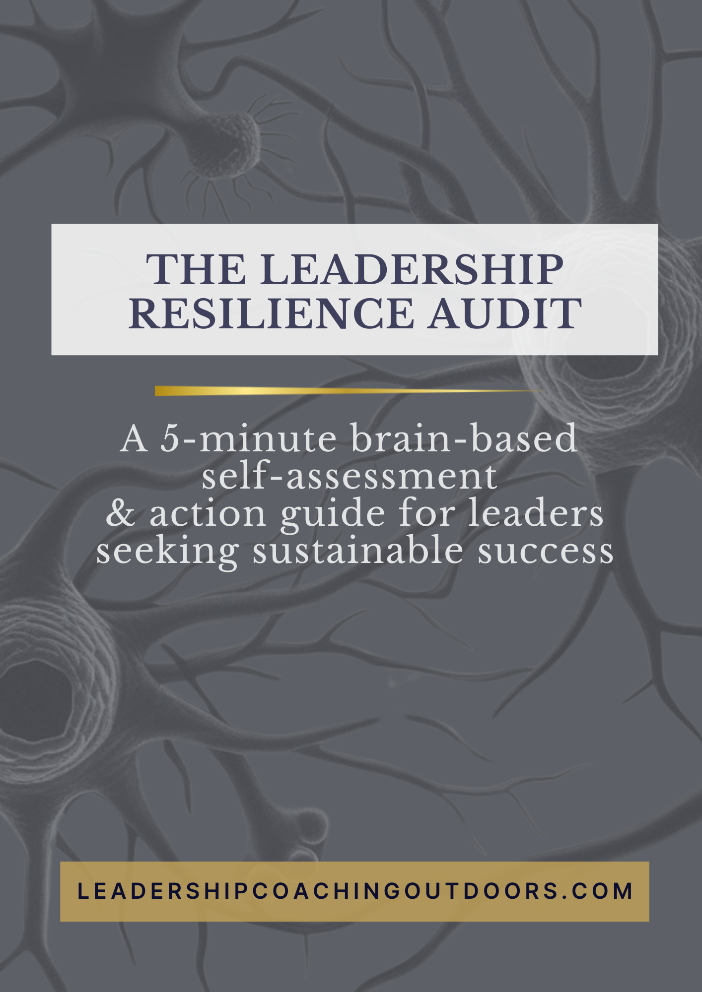 Leadership Coaching Outdoors - The 5-minute Leadership Resilience Audit