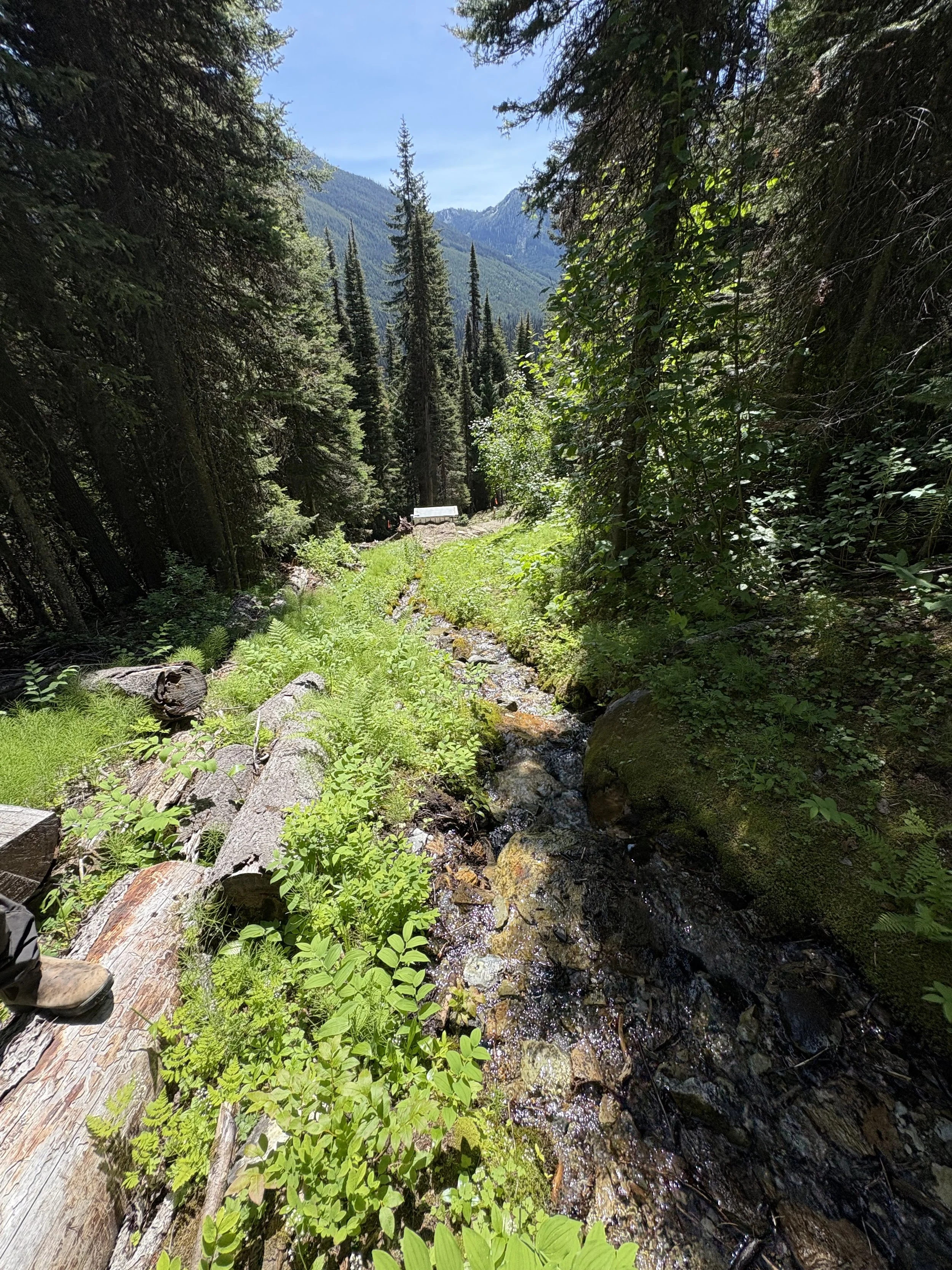 Source Water Assessments and Protection Plans, BC