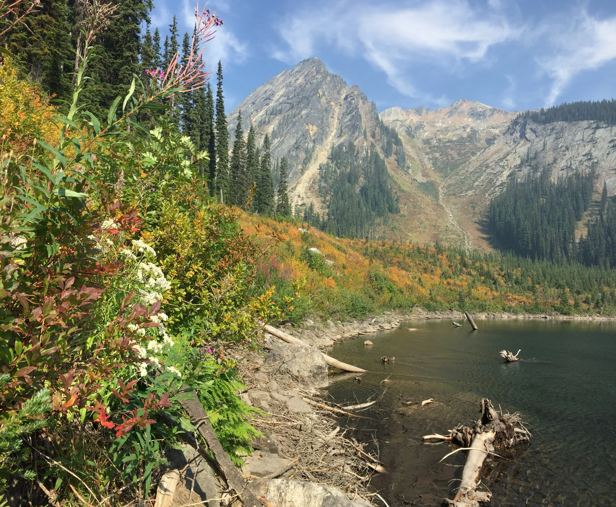 IGI offers Environmental Impact Study (EIS) reports so clients can make informed decisions, meet regulatory requirements, and contribute to responsible development in BC’s diverse ecosystems.