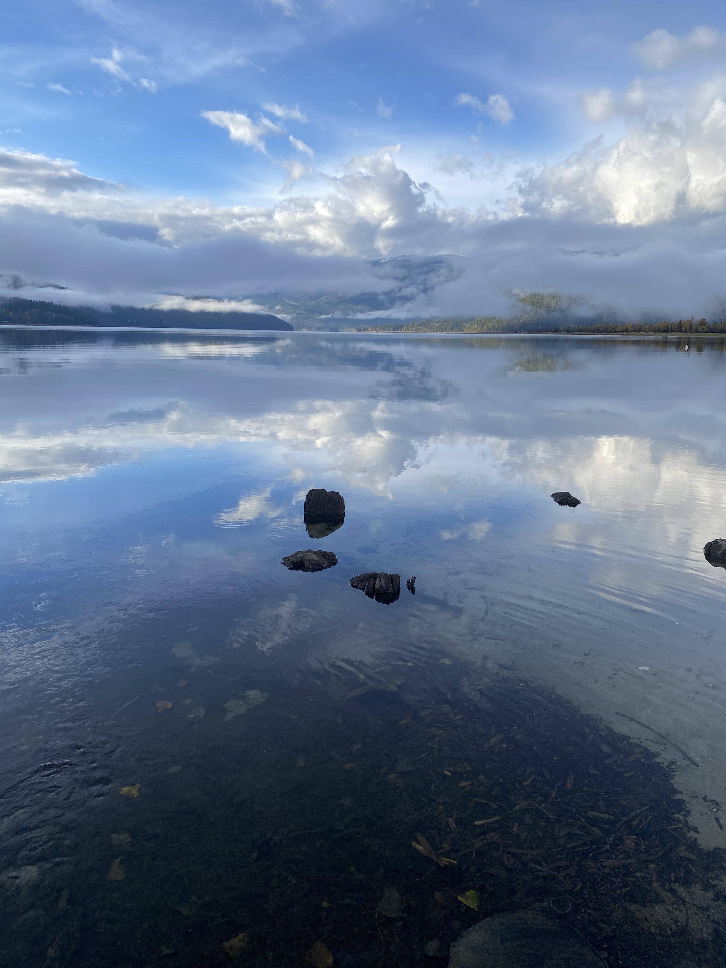 Foreshore of Shuswap lake for a DPA assesment