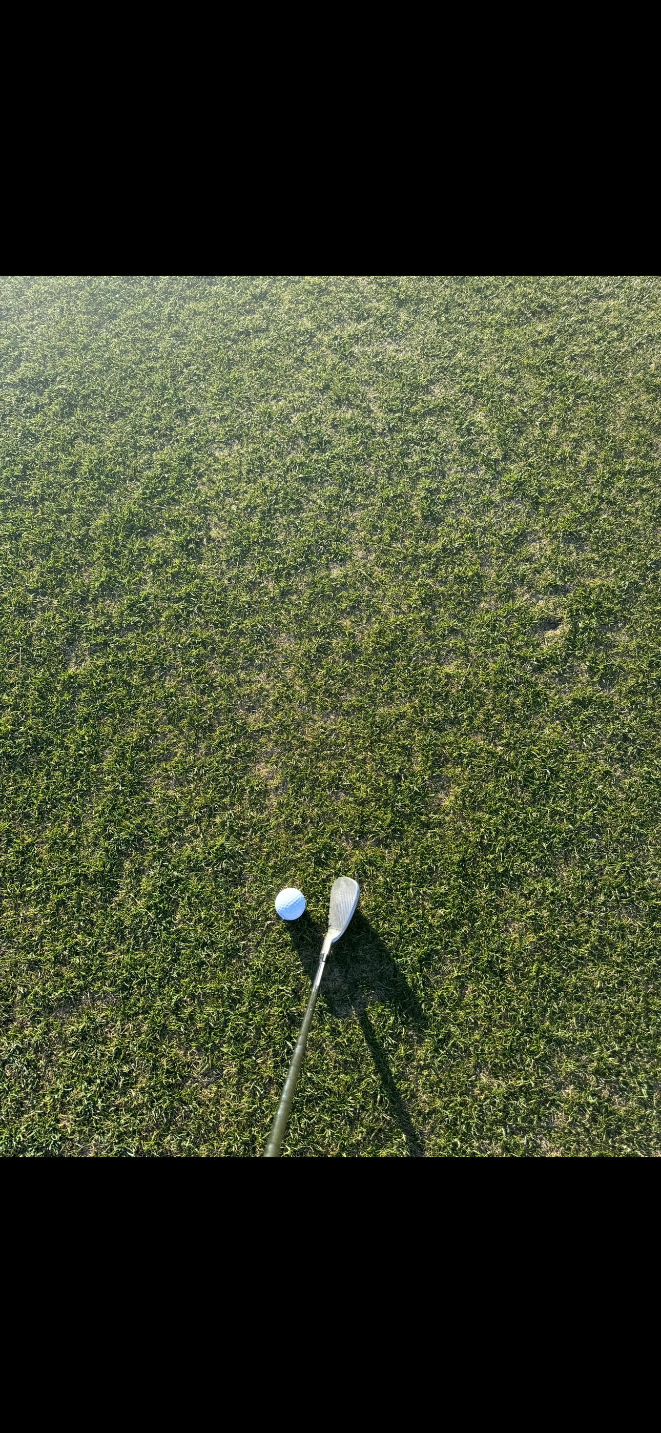 Masters Week Paint & Sip: Golf Course Painting