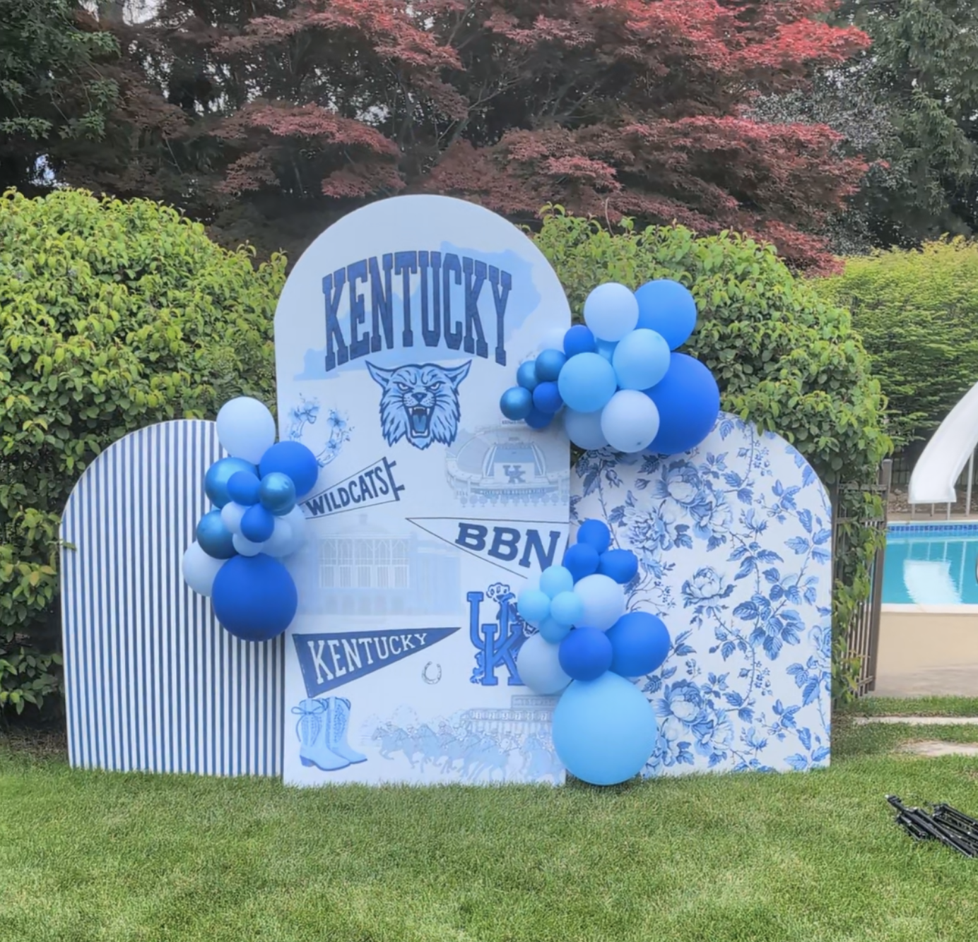 Blue Lagoons &amp; Big Blue Dreams: Luna Belle Celebrates a Kentucky Wildcat