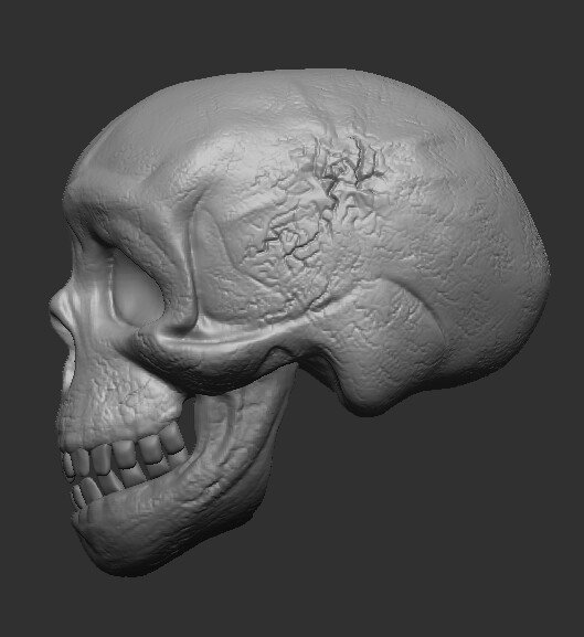 jessica-algotsson-skull-portfolio-3.jpg