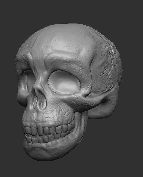 jessica-algotsson-skull-portfolio-1.jpg