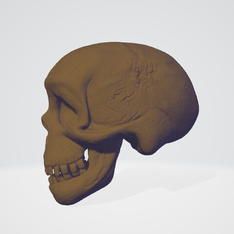 jessica-algotsson-skull-final-2.jpg