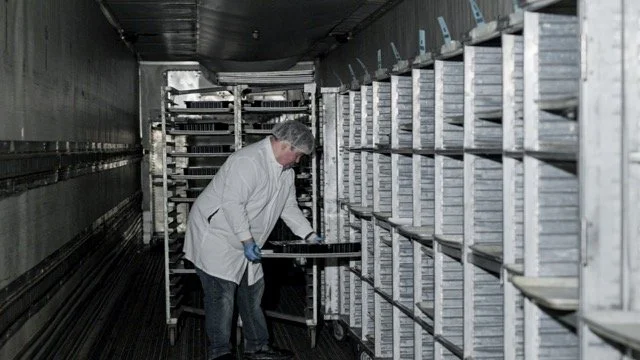 Industrial_11 Medium.jpeg