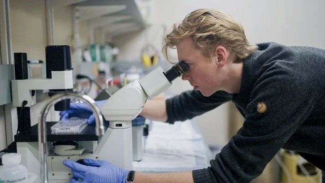 Industrial_24 Medium.jpeg