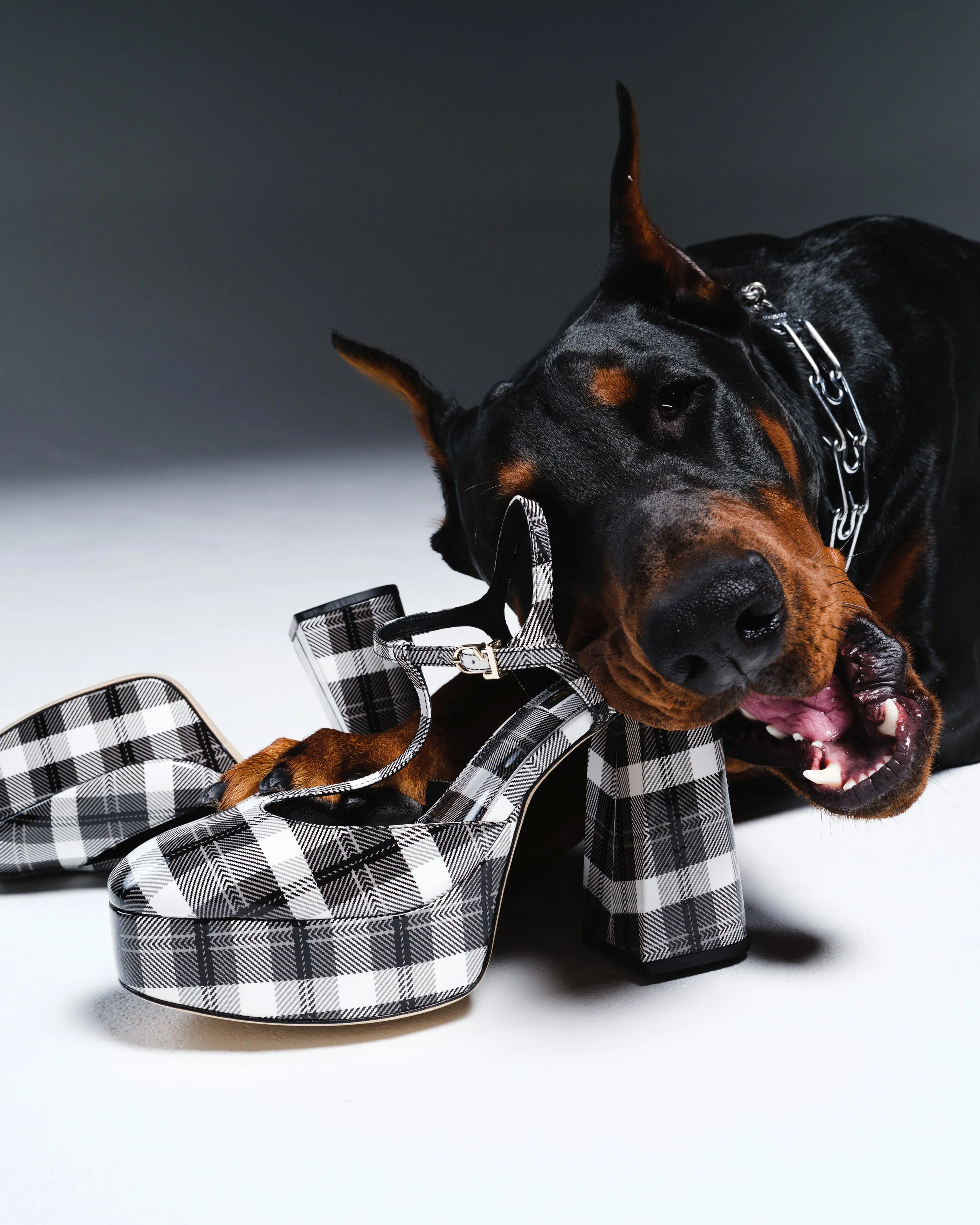 Larroudé, Pre-Fall 2023