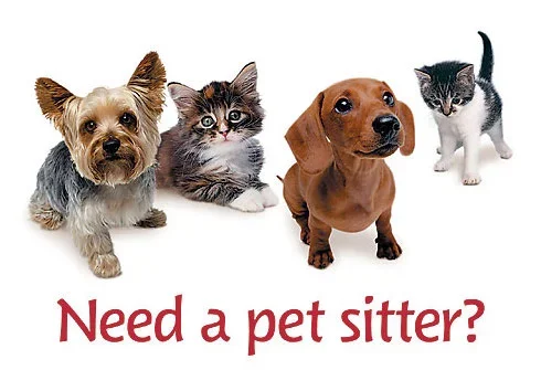 Pet_Sitter.webp